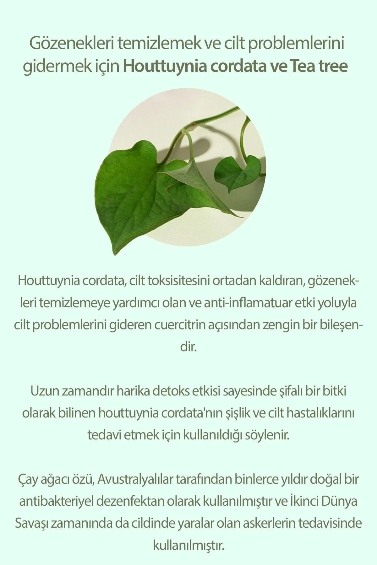 سرم پوست درخت چای HOUTTUYNIA CORDATA حاوی عصاره 30 میل Mary &amp; May