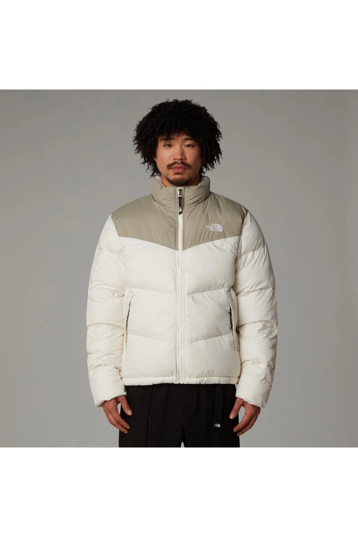 کاپشن کت یقه ایستاده اکرو مردانه سایکورو The North Face