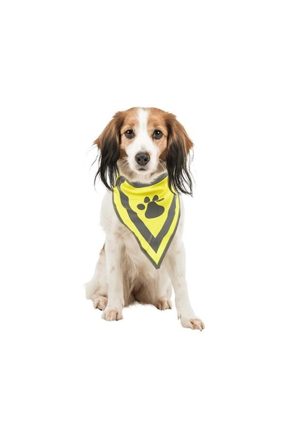 قلاده سگ DOG BANDANA XS S 22 28CM 562135 Trixie