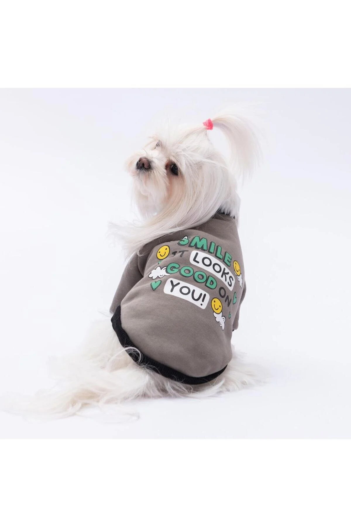 لباس سگ SMOKED LOVIISA SWEAT CAT DOG CLOTHING اورجینال Pawstar