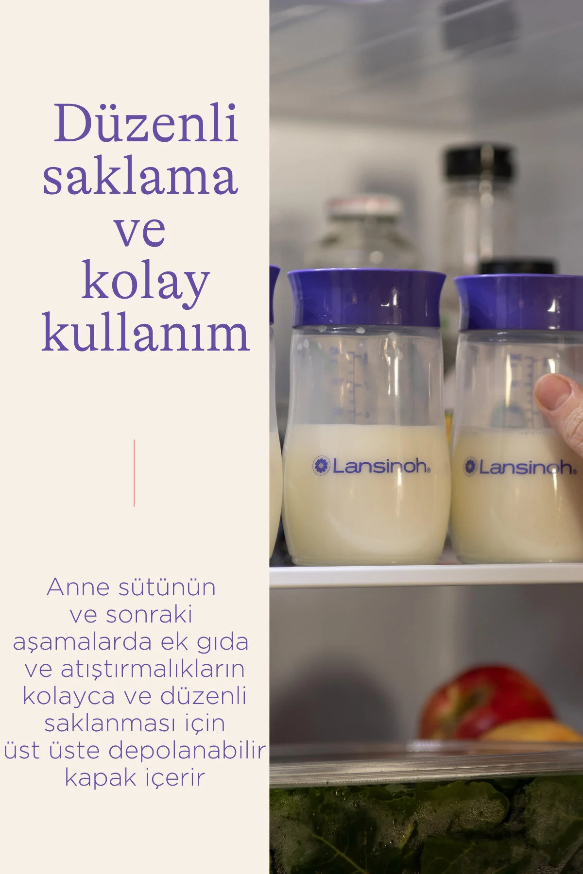 شیشه بنفش پستانک بطری & ® 240 میل LANSINOH