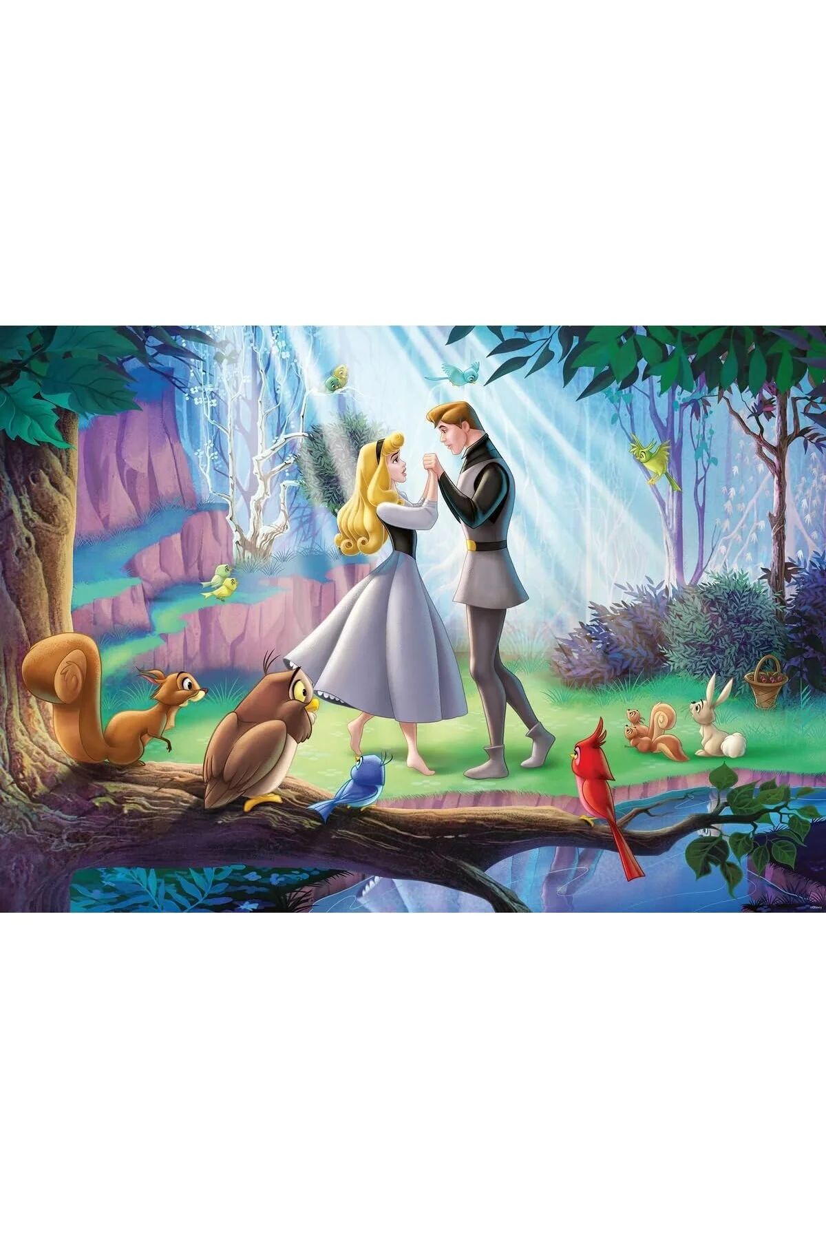 پازل SNSHOP PIECE PUZZLE WD SLEEPING BEAUTY, JIGSAW STOREMAX