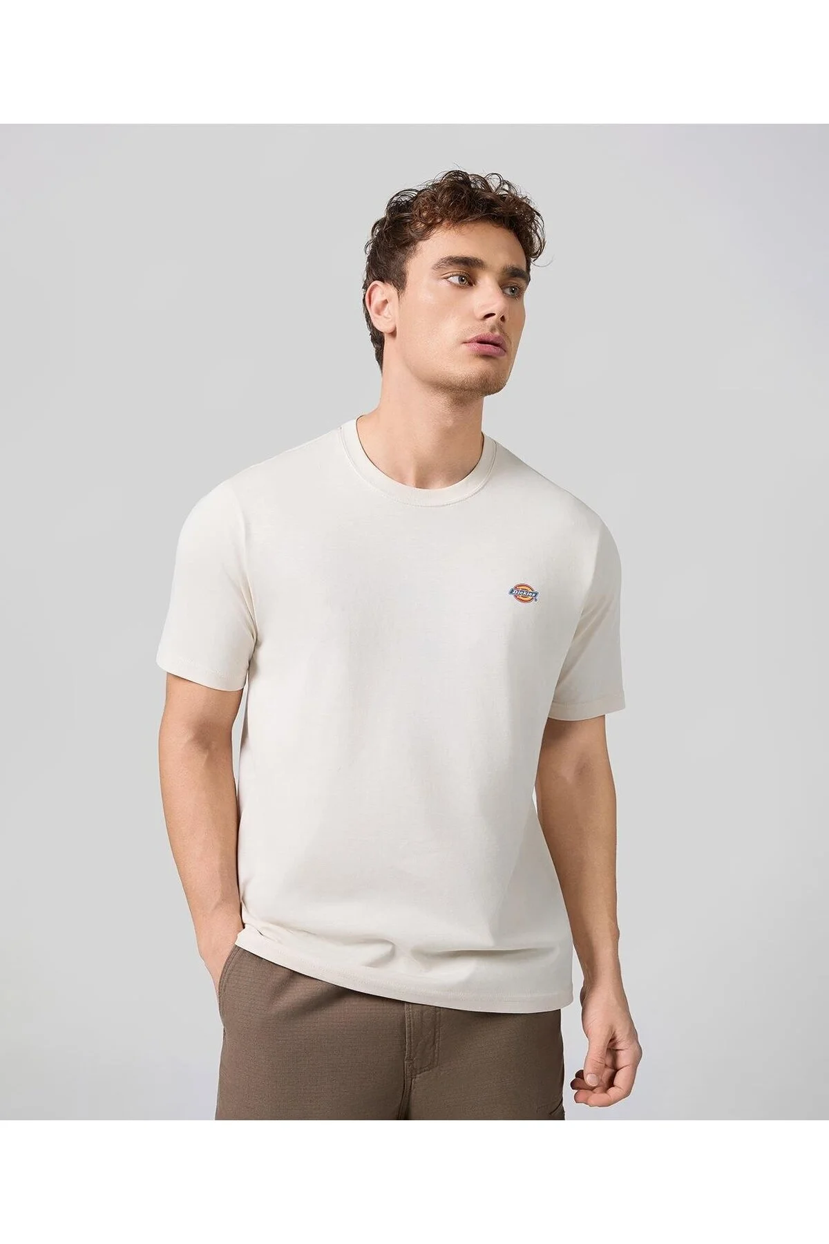 تی شرت خاکستری مردانه آستین کوتاه T اورجینال Dickies