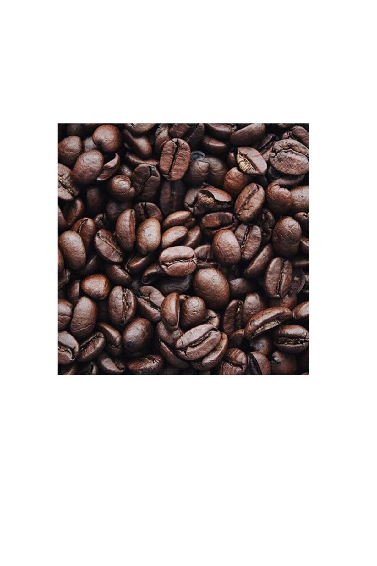 قهوه فیلتر و دانه کامل بذر عربا 1 کیلوگرم Lugano Caffe