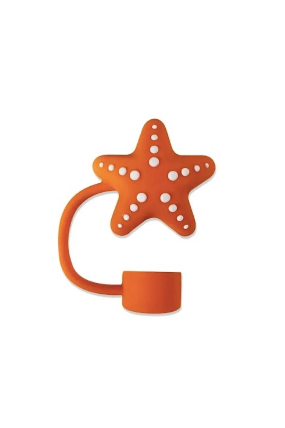 هدیه مفهومی SEA STAR TERMOS لوازم جانبی PIPETA PROTECTOR PIPETTE CASE PIPET Stanley
