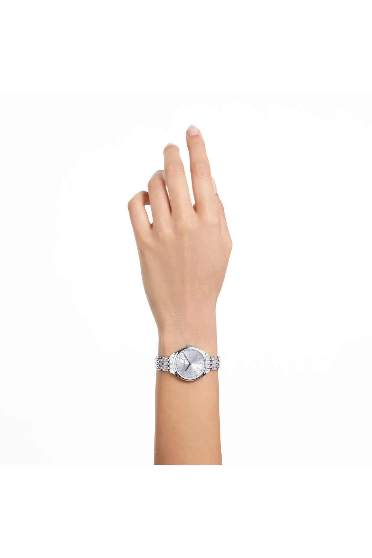 ساعت 5644062 مچی جذابیت: صاف کردن FP شفاف سفید ست Swarovski