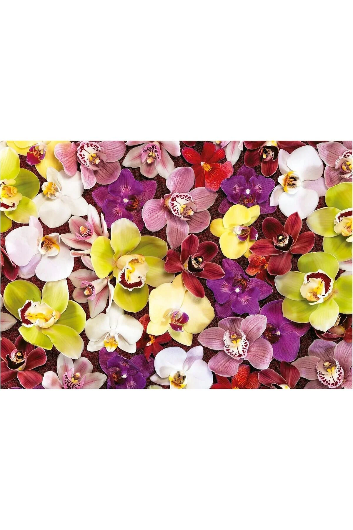 پازل EDUCA 1000 PIECES ORCHID FLOWER COLLAGE 19558 از ترکیه Educa Puzzle