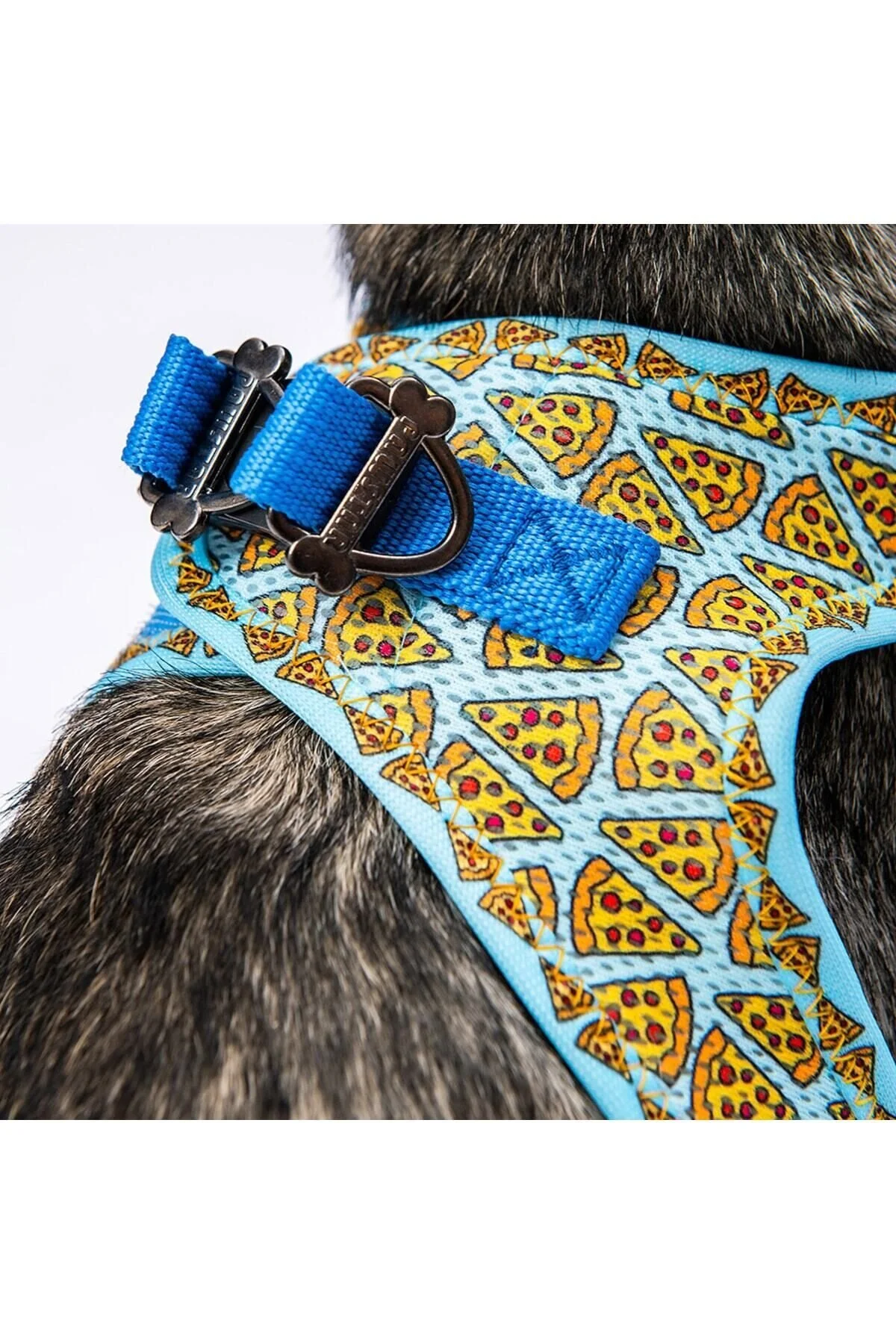 Pawstar هارنس گربه پیتزا با مش بادی بند سگ A15