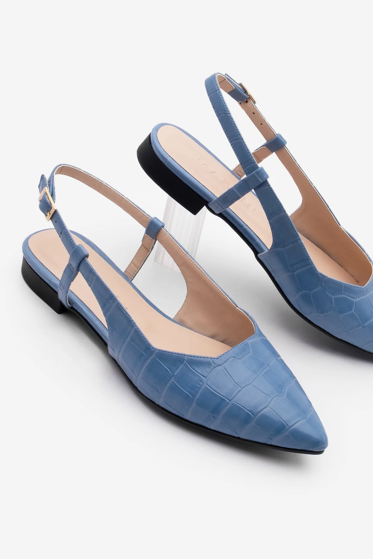 باله روزانه آبی زنانه کفش بینی پشتی اجتماعی بسیار توپ TAFIZA BLUE CROCO را باز می کند مارجین Marjin