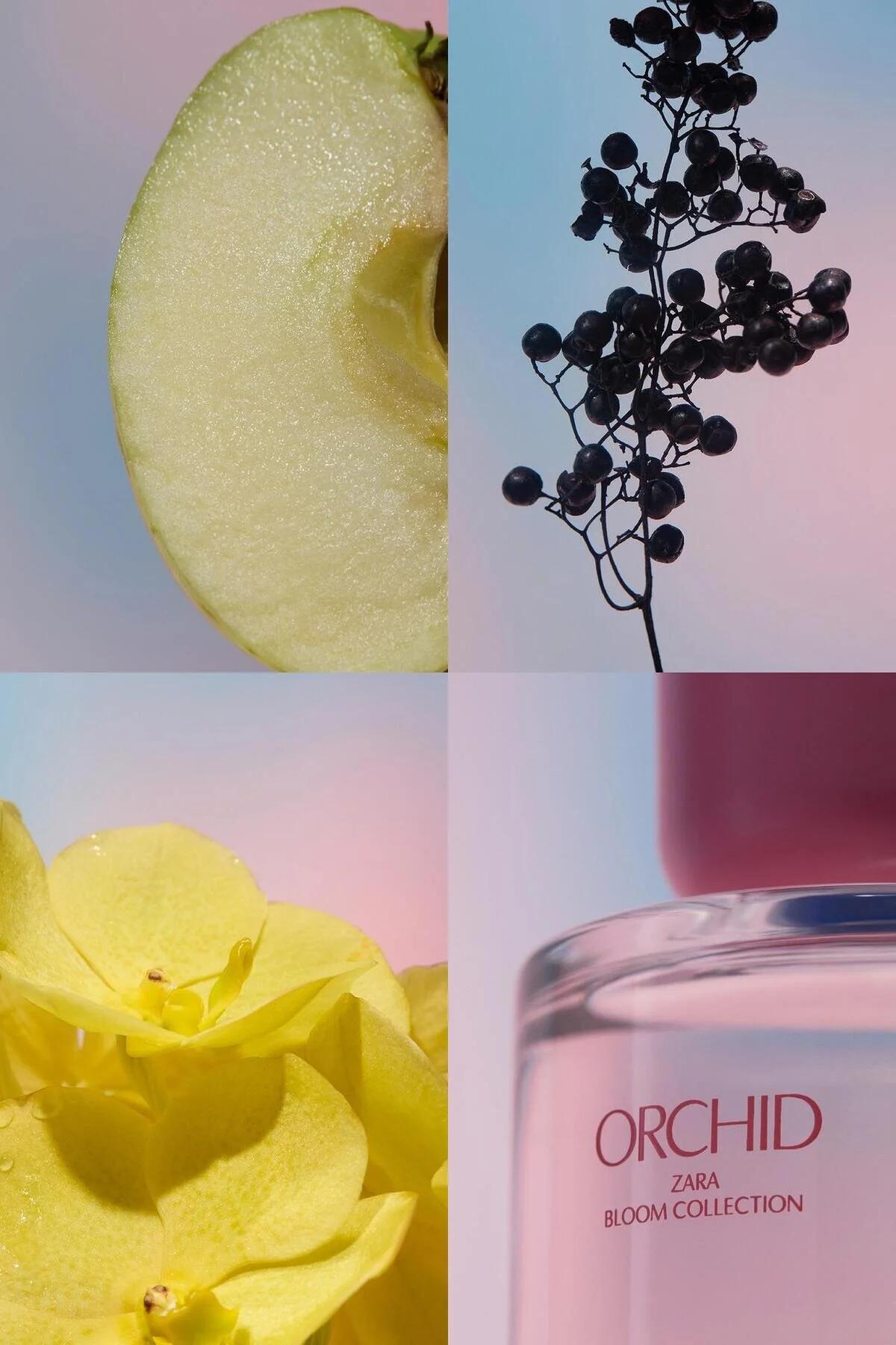 Zara عطر زنانه Orchid ادوپرفیوم 90 ml