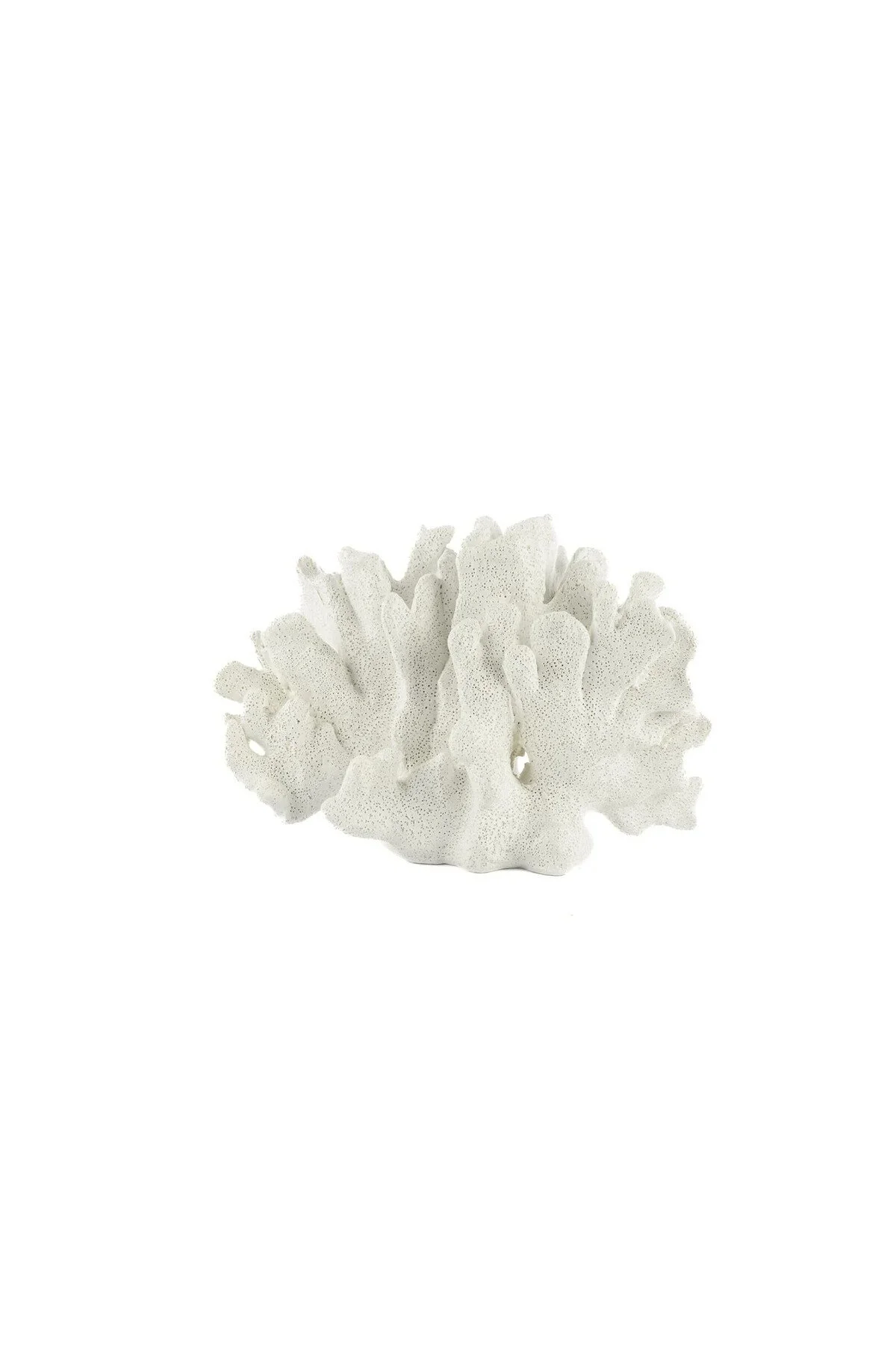 اشیاء دکوراتیو و مجسمه مرجان سفید 22X13X15CM اورجینال Mikasa Moor