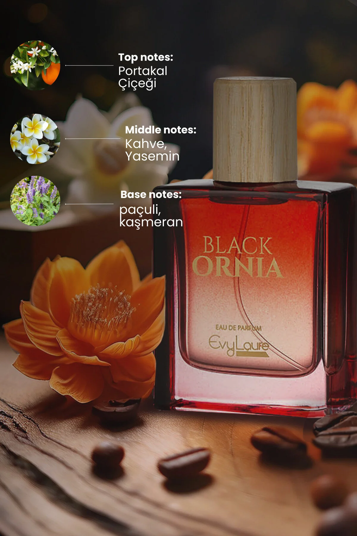 عطر زنانه سیاه پوستی | EAU DE ادوپرفیوم ​​50 میل EvyLaure