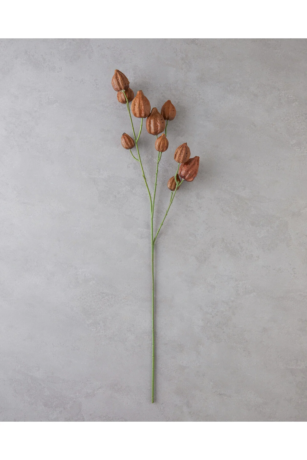 گل مصنوعی و خشک ANDRE SINGLE BRANCH FLOWER 80 سانتی متر قهوه English Home