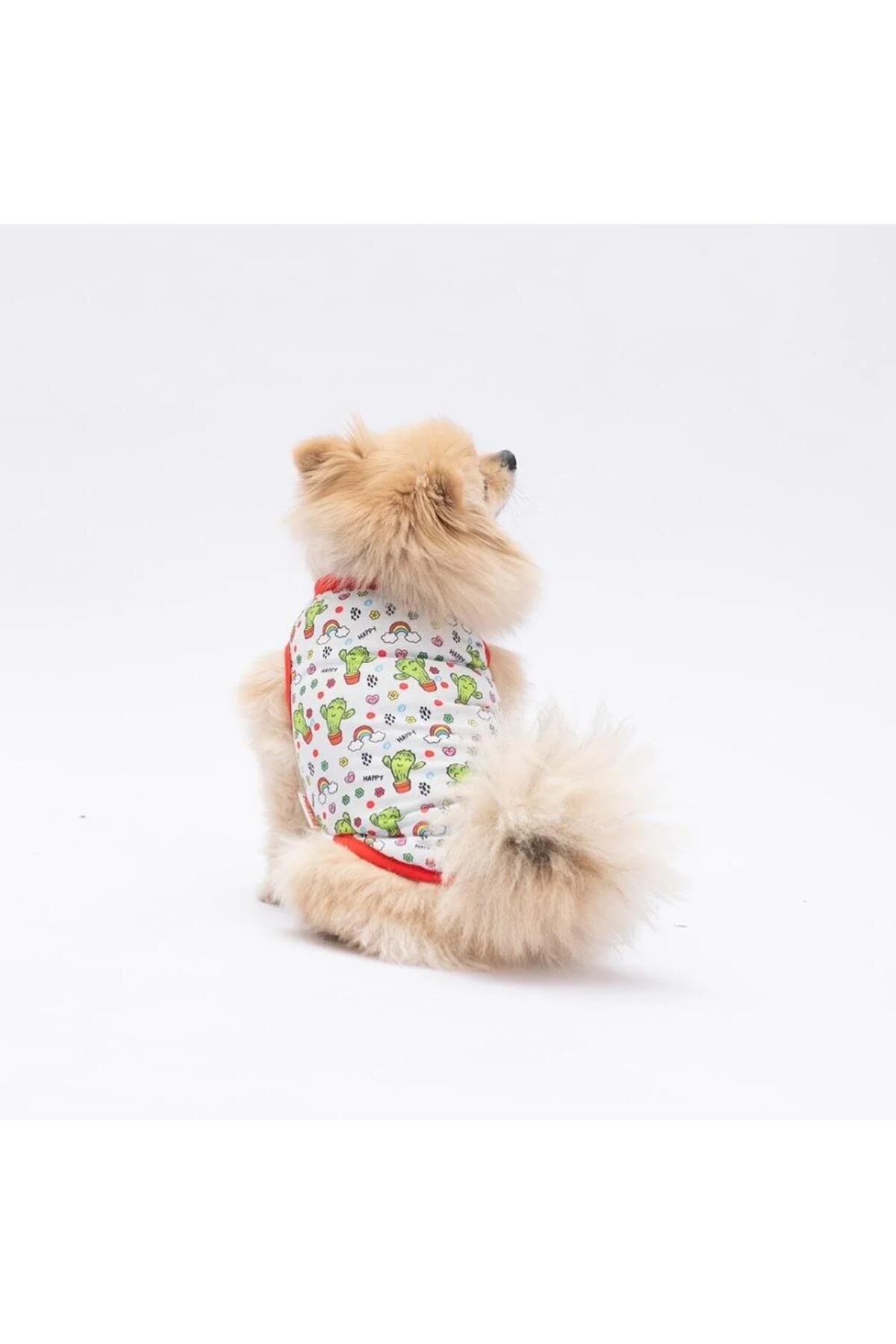 لباس سگ تی شرت گربه ای شاد کاکتوس اورجینال Pawstar