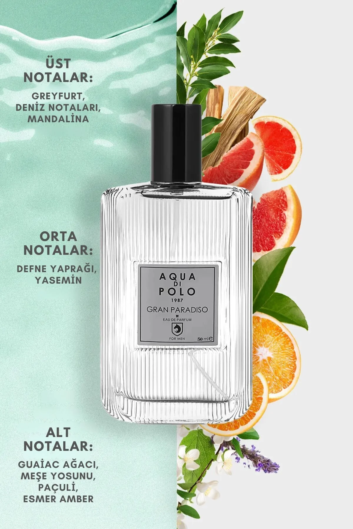 Aqua Di Polo 1987 عطر مردانه 50 میلی‌لیتری گران پارادیزو
