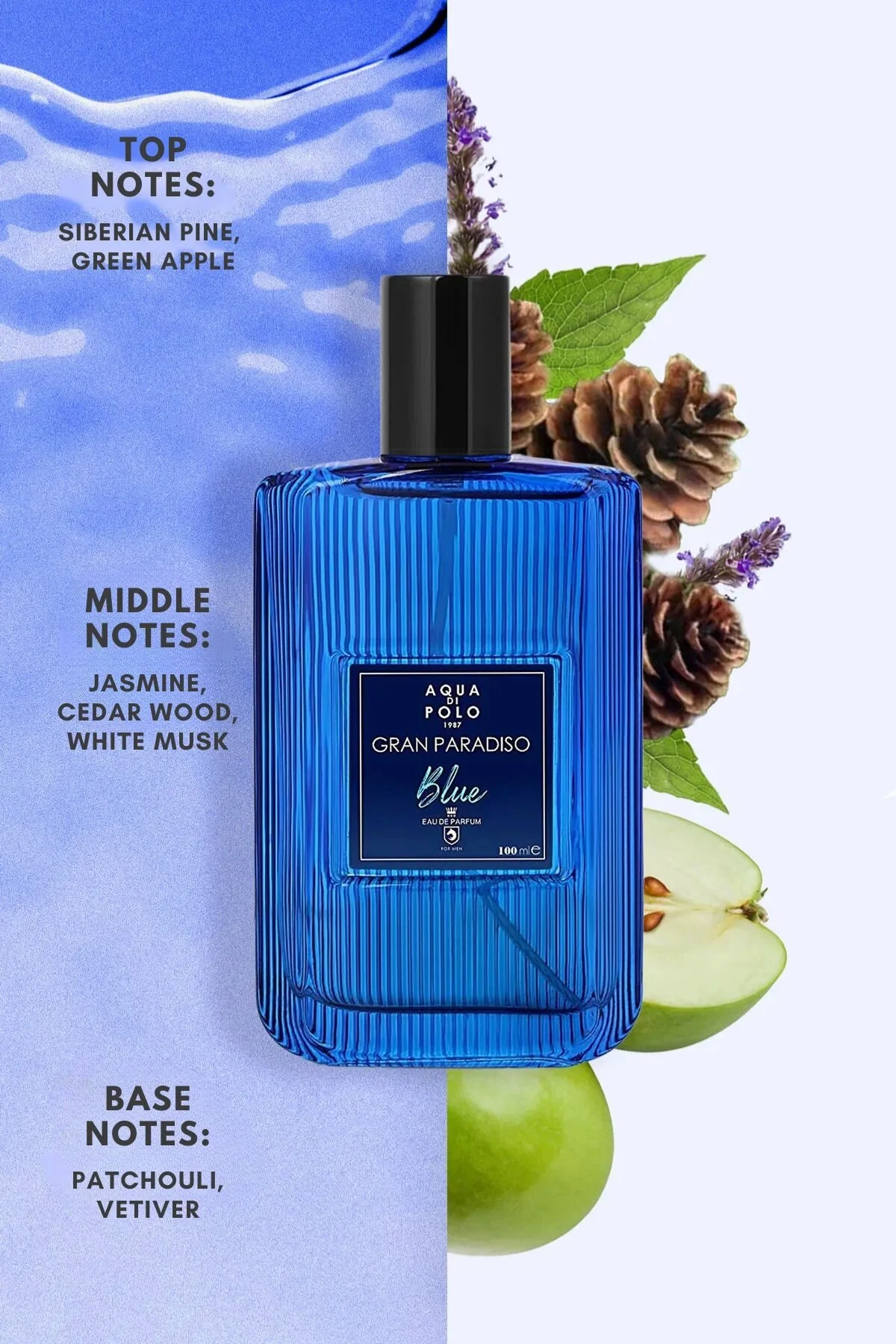 Aqua Di Polo 1987 عطر مردانه 100 میلی لیتری با بوی آبی و میوه ای