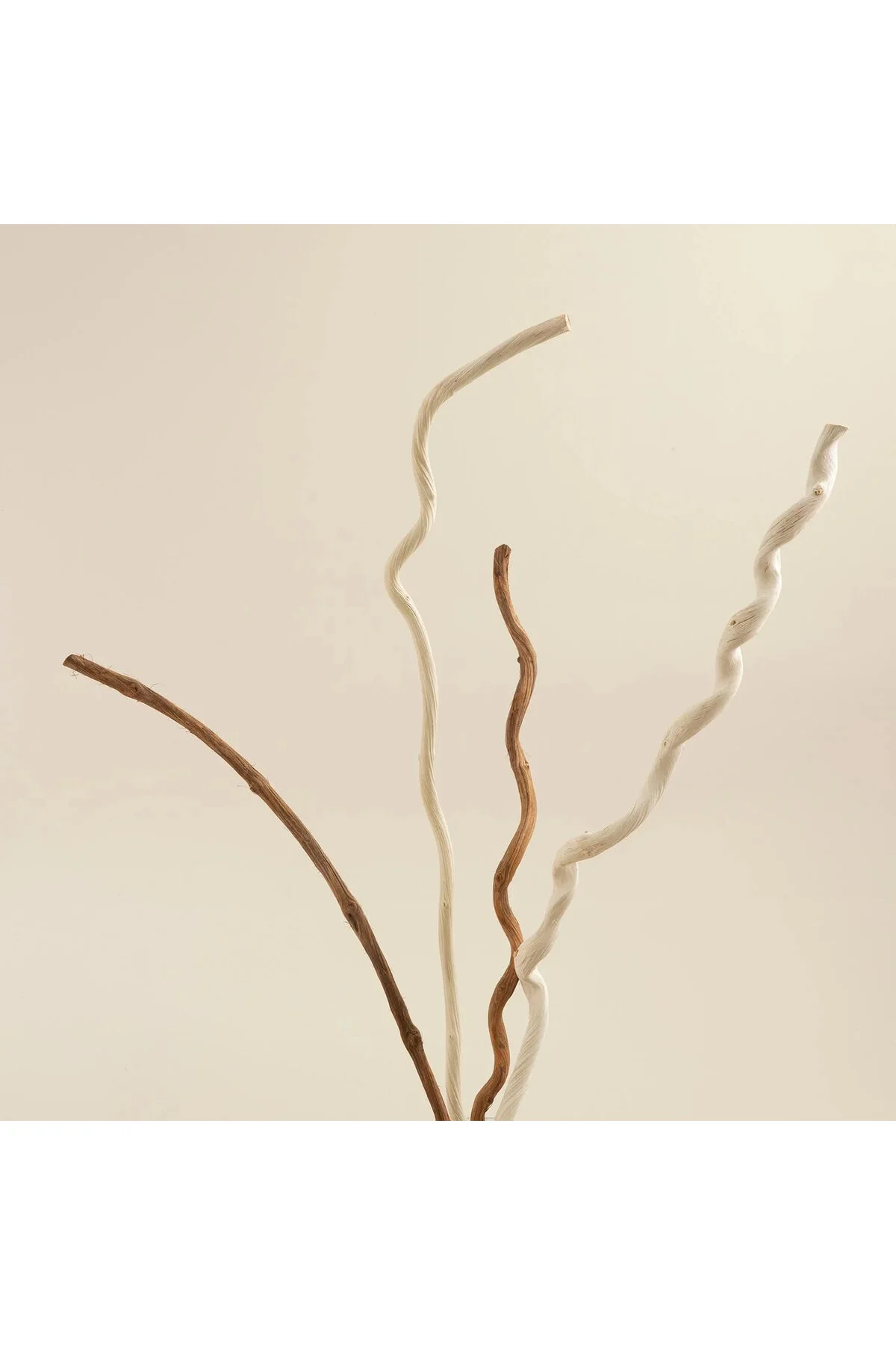 گل مصنوعی و خشک DARLENE DAL FLOWER DRY NATURAL Chakra