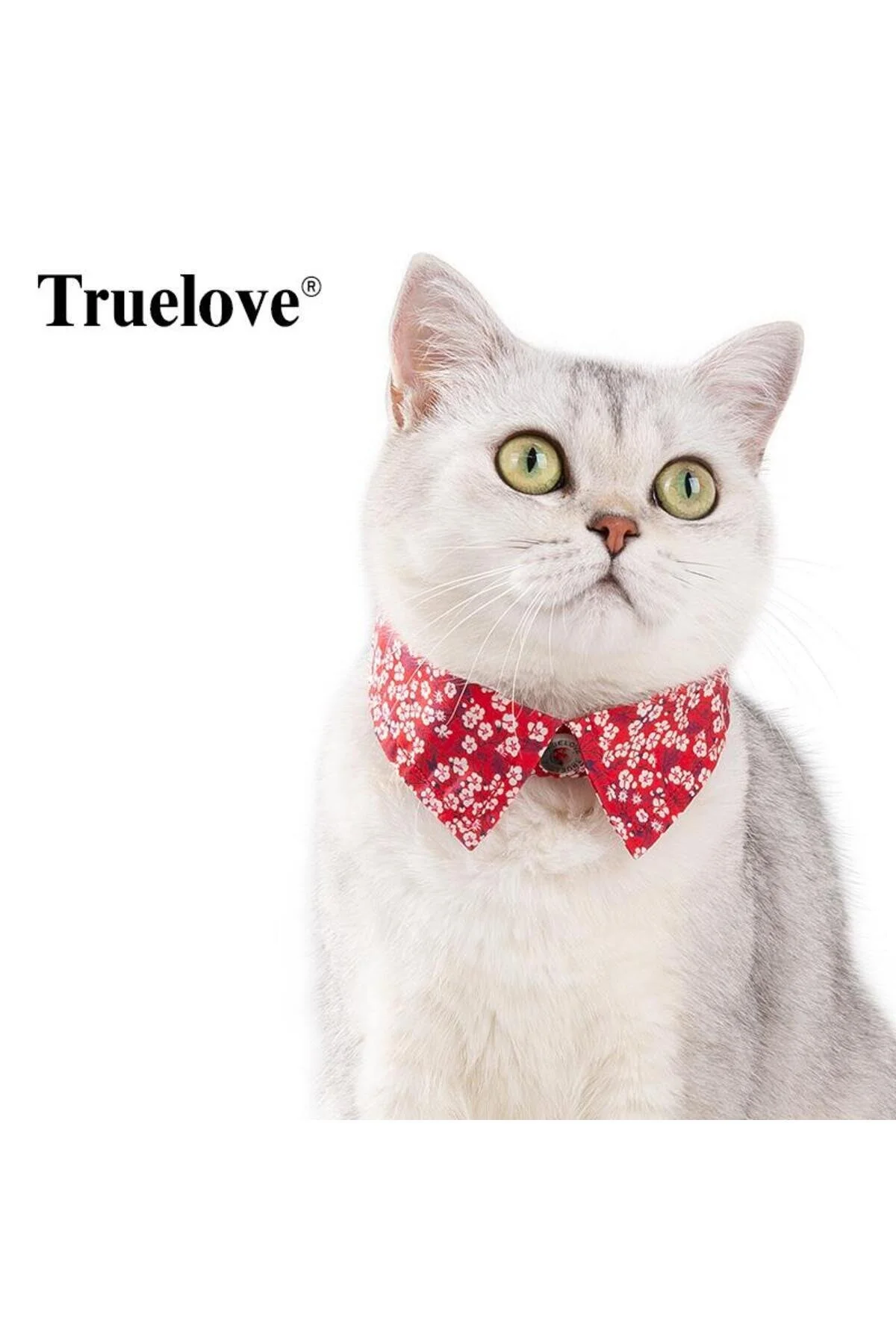 قلاده گربه قرمز پت الگوی گل توزیع سگ ترو لاو True Love