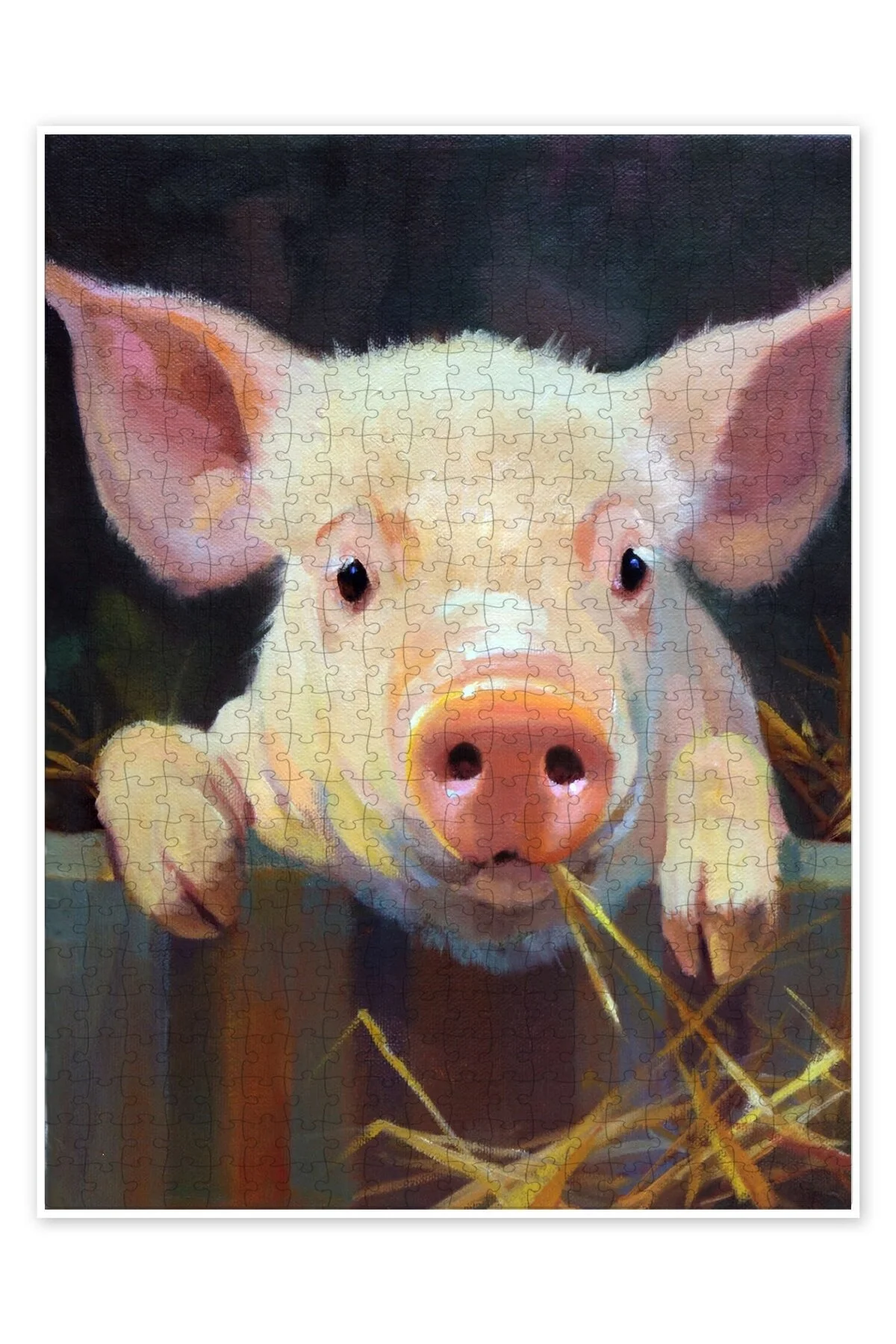 پازل PIGGY PINK 500 PIECE PUZZLE اره منبت کاری مویی گربه سگ با موضوع طبیعت و حیوانات جنگل از ترکیه Jeronkarji
