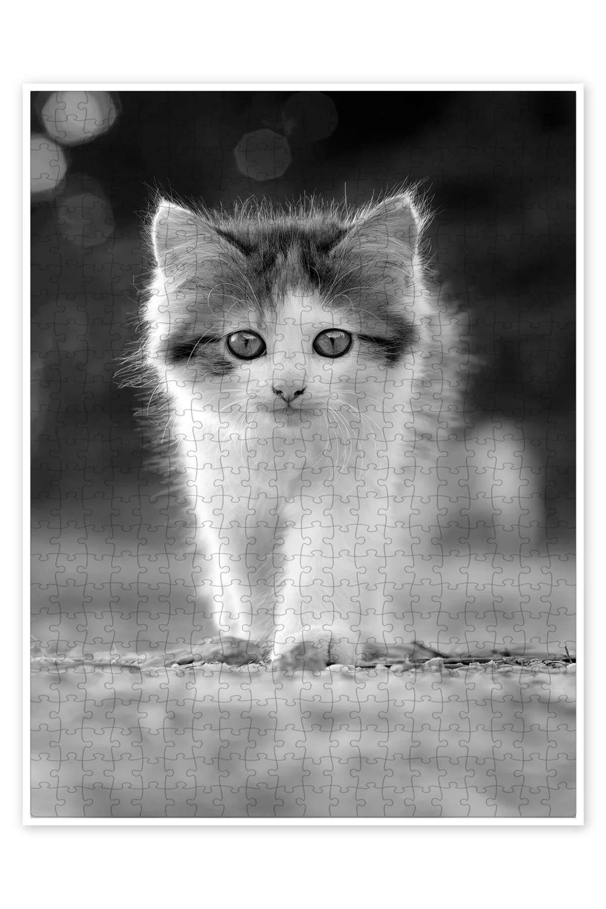 پازل KITTEN 500 PIECE PUZZLE گربه سگ با موضوع طبیعت و حیوانات جنگل از ترکیه Jeronkarji