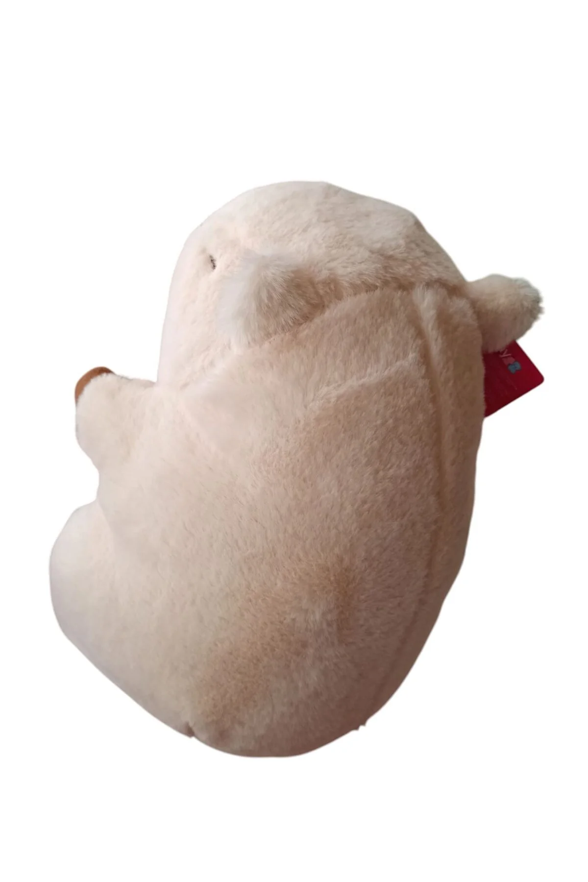 اسباب بازی های پشمی بامزه ترین دوست CAPYBARA شما مخمل خواب دار نرم CAPYPARA 25 سانتی متری PopŞeker