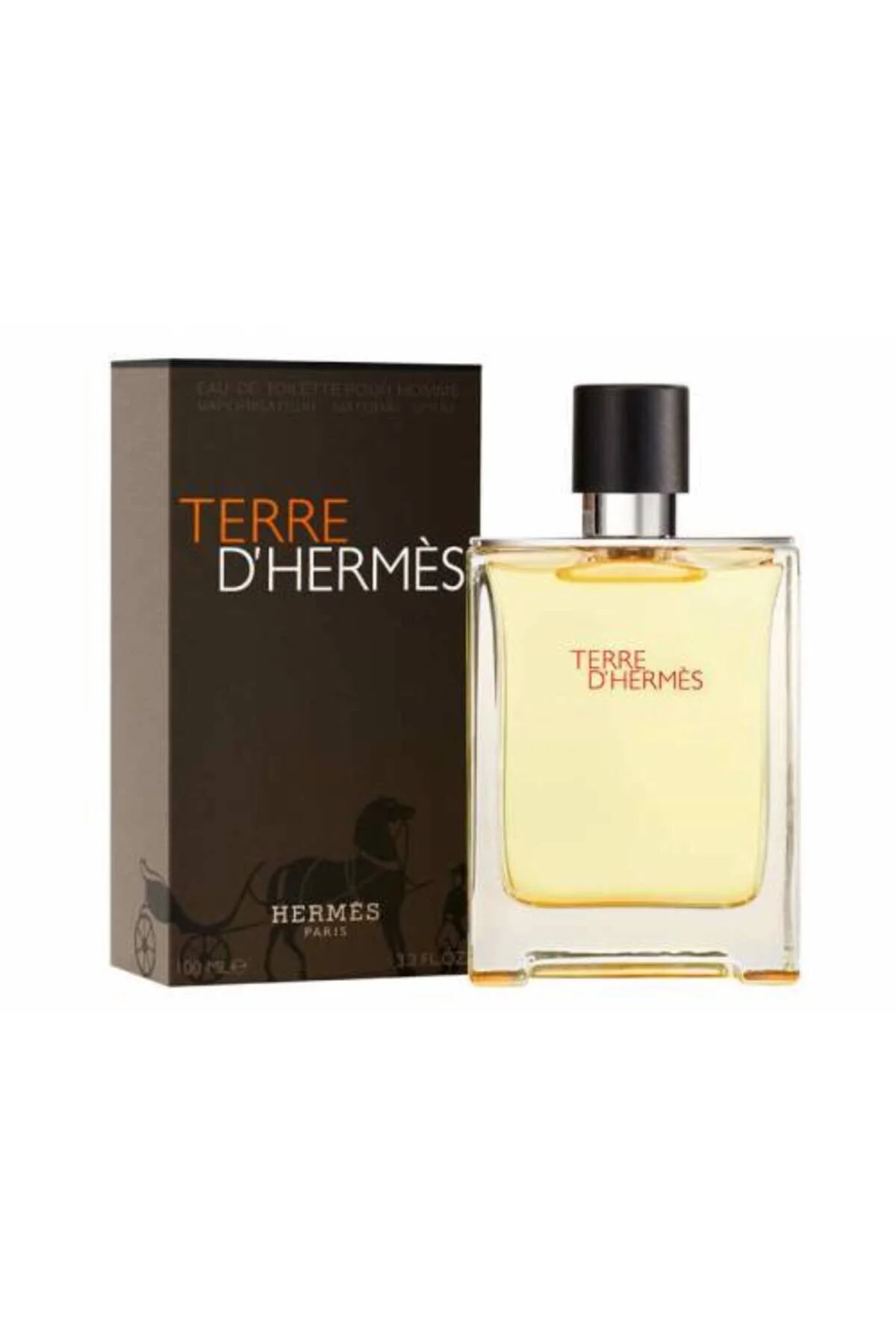ادو تویلت مردانه هرمس Hermes Terre D Eau de Toilette 100ml   Hermes