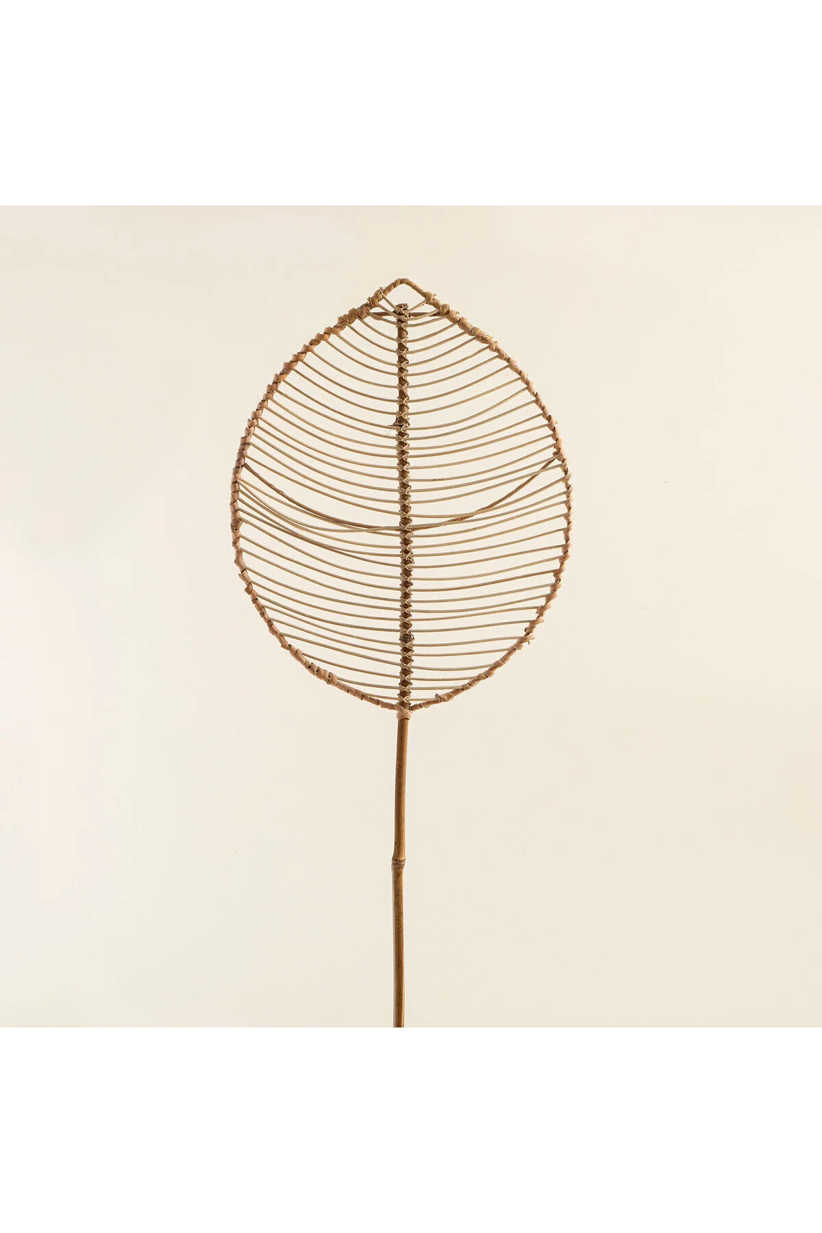 اشیاء دکوراتیو و مجسمه دکوراسیون FOLIA RATTAN 200 سانتی متر طبیعی Chakra