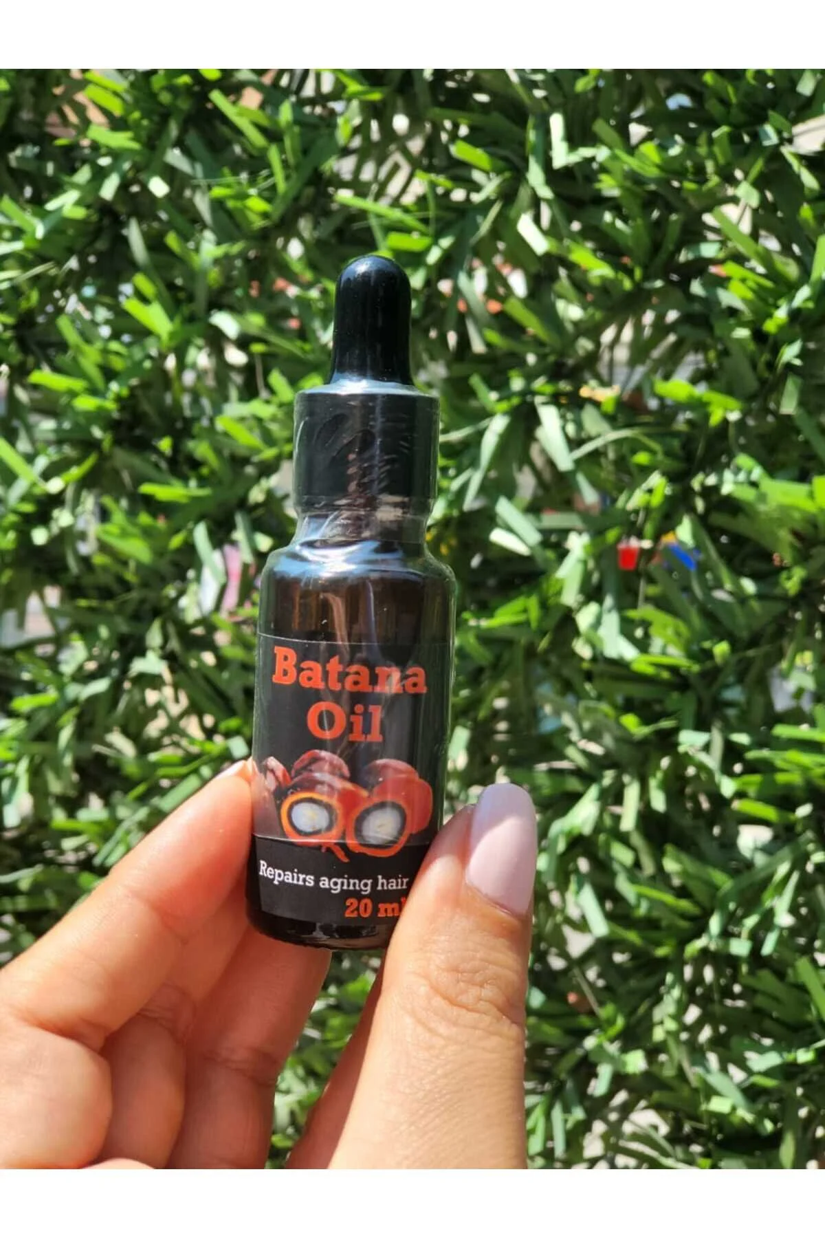 روغن مو باتانا 20 میلی لیتر برای رشد سریع مو Batana Oil