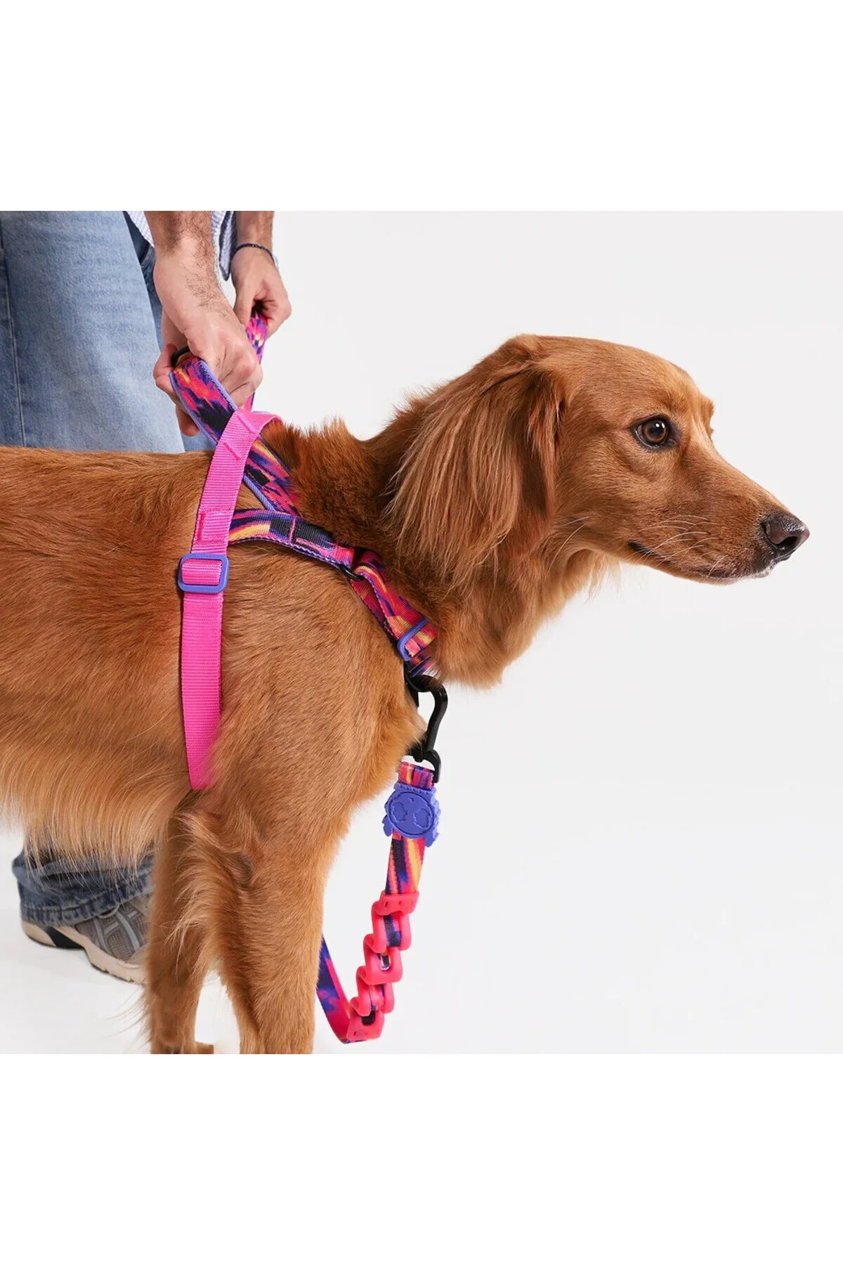 قلاده سگ مهار نرم افزاری ضد پیمانه Zee.Dog