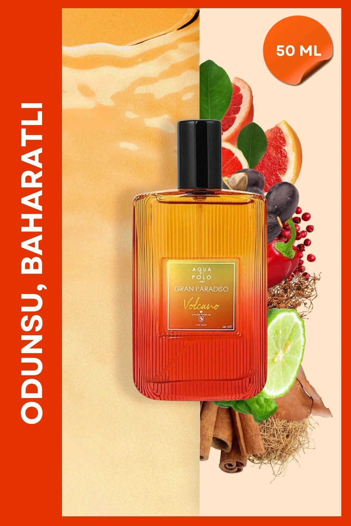 Aqua Di Polo 1987 عطر مردانه گران پارادیزو ولکان 50 میلی لیتر ای دی پی