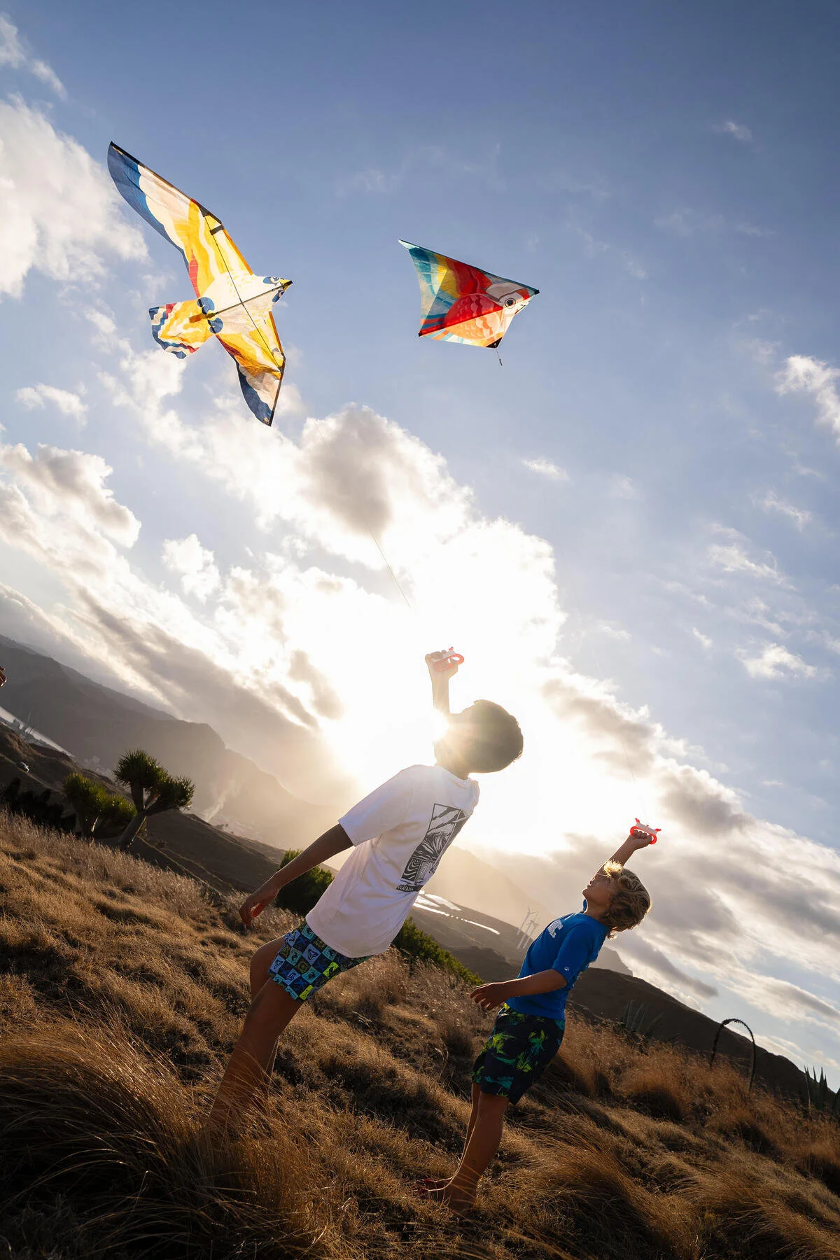 لوازم جانبی فضای باز زرد KITE BIRD MFK 150 اورجینال دکتلون Decathlon