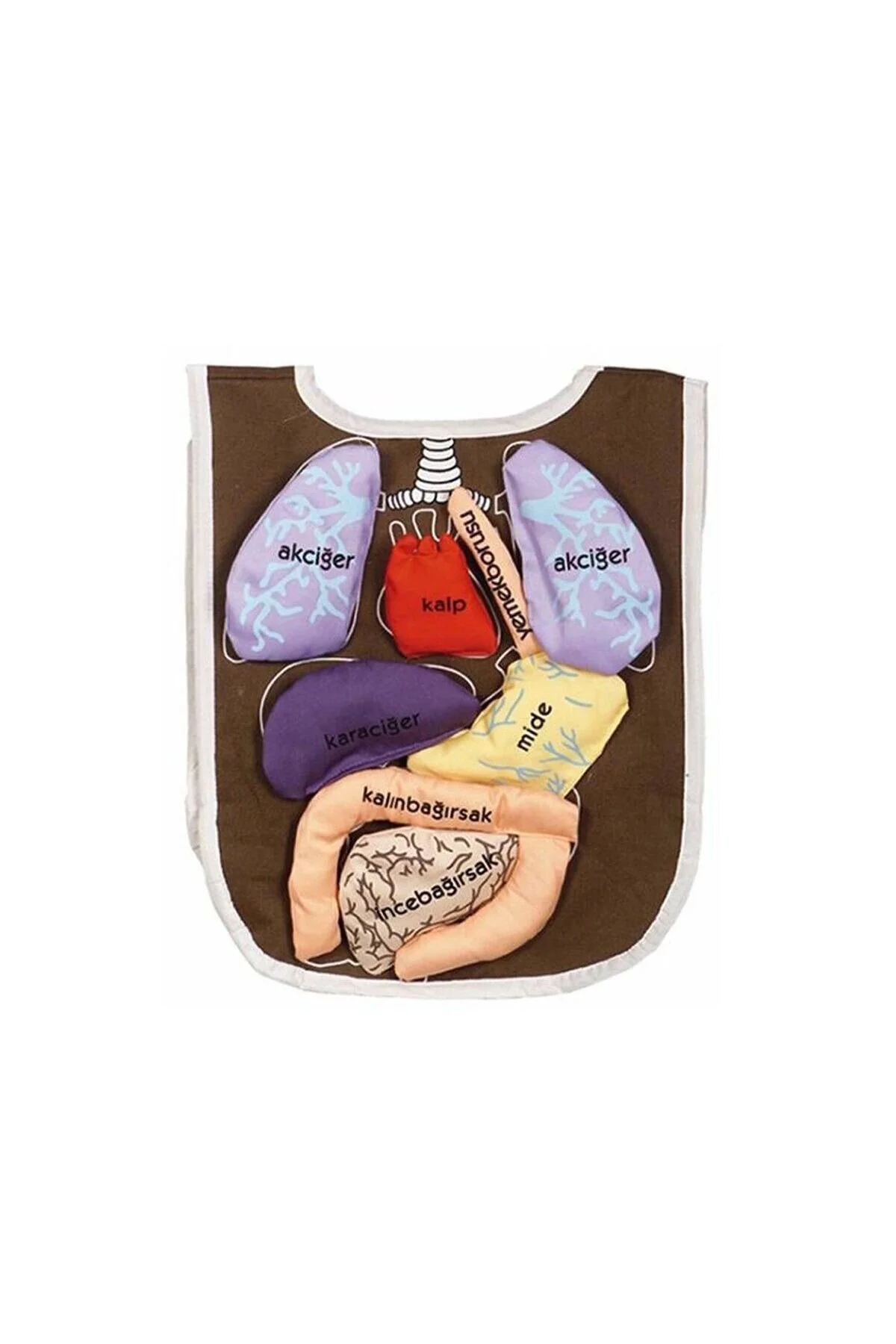 اسباب بازی های فیگور دیگر آموزش آموزشی AND 5011 ORGAN BIB ORGANS WITH VELCRO FASTENERS GIRLS BOYS KIDS TOY NEWBRENDHOME