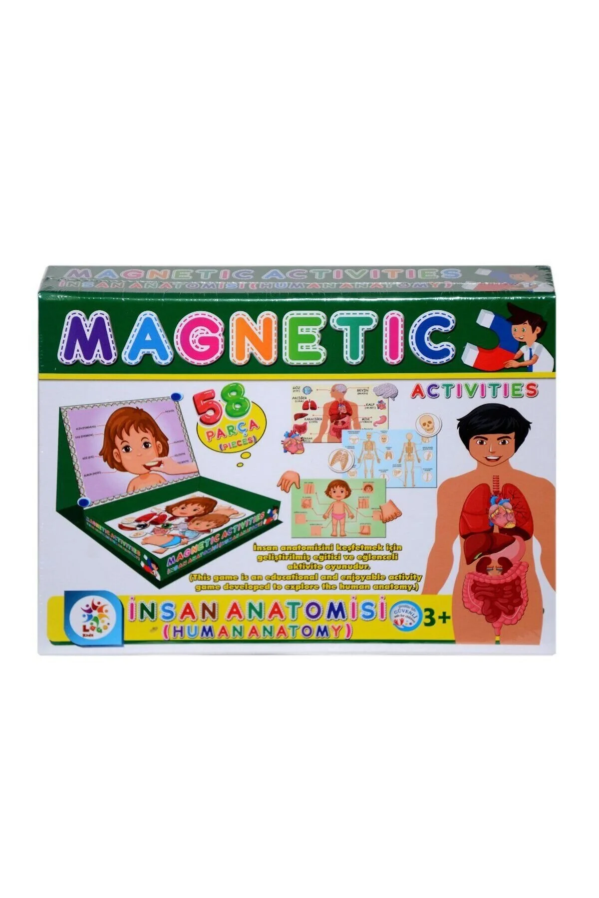 اسباب بازی های فیگور دیگر آموزش آموزشی LC7171 MAGNETIC ACTIVITIES HUMAN ANATOMY دختر +3 ساله E NEWBRENDHOME