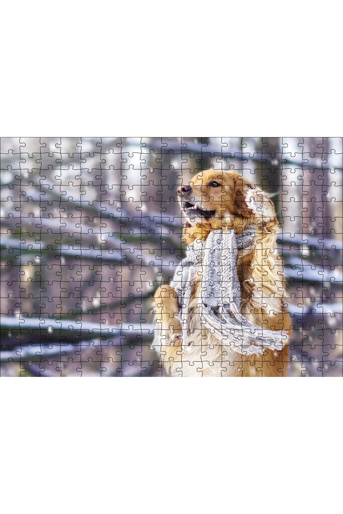 پازل اره منبت کاری مویی MDF 255 تکه CAKASEPETIM DOG SCARFED چوبی Cakapuzzle