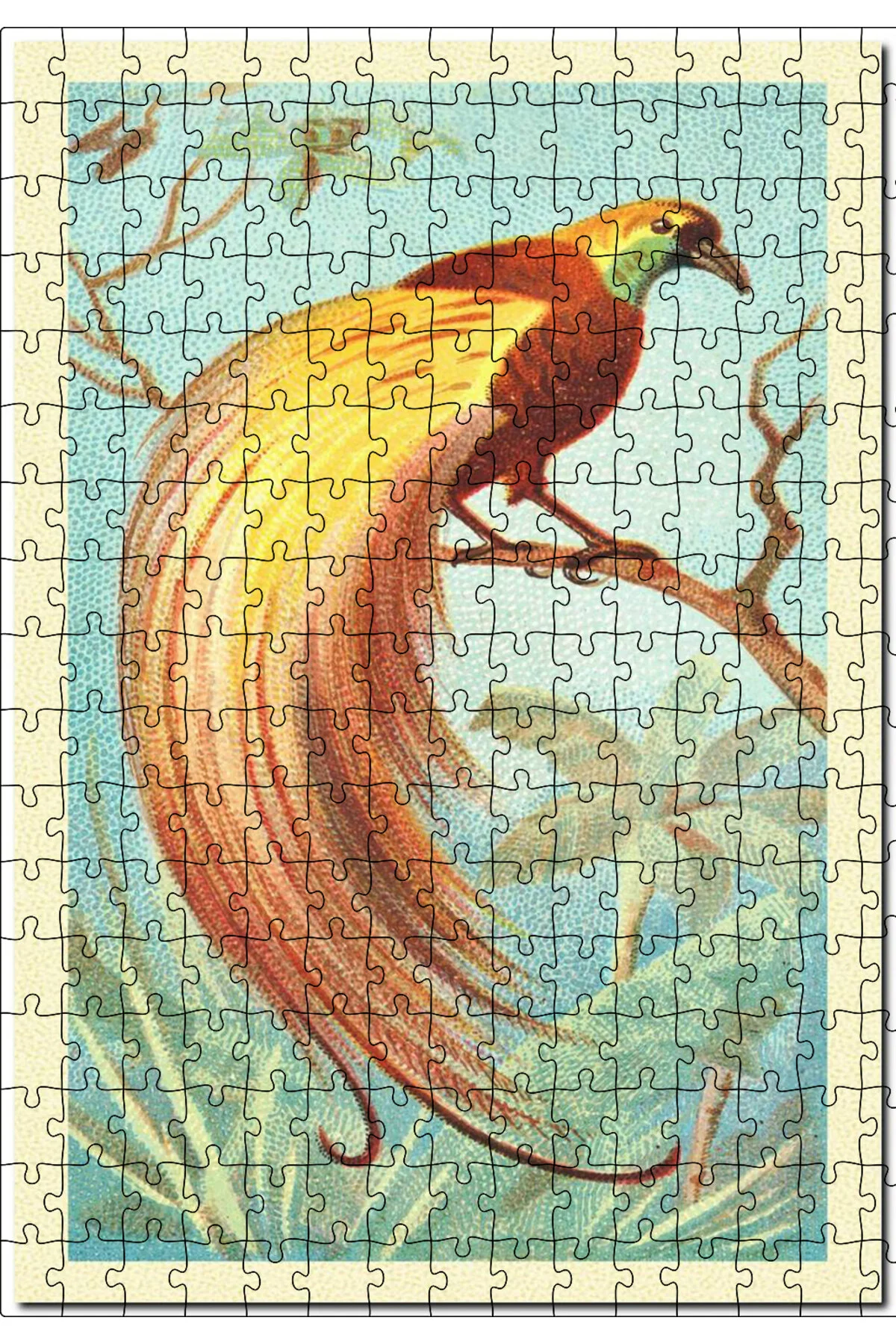 پازل CAKASEPETIM BIRD OF PARADISE VISUAL 255 تکه اره منبت کاری مویی ام دی اف چوبی Cakapuzzle