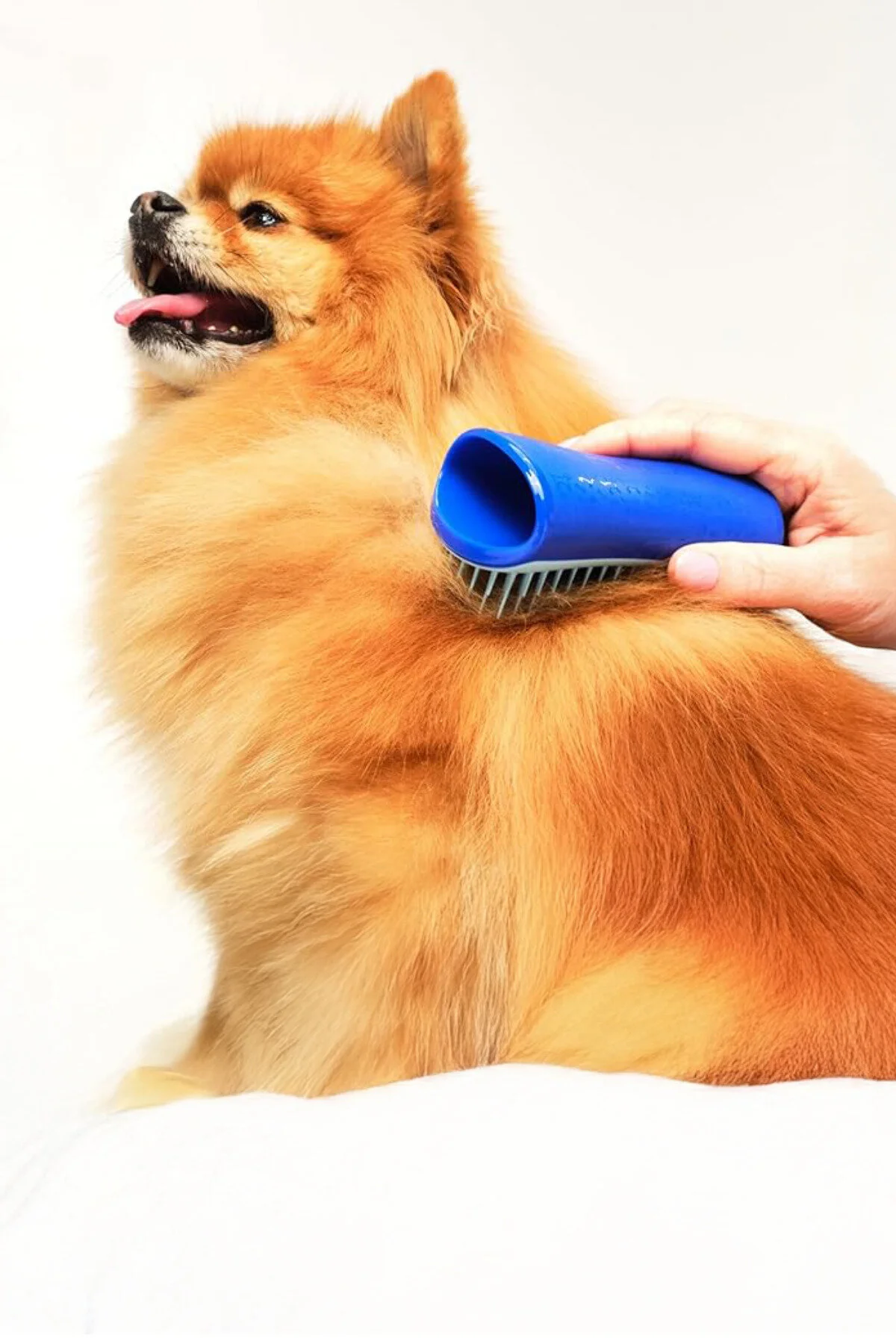 برسشانه سگ برس نظافت تمیز کردن PET Tangle Teezer