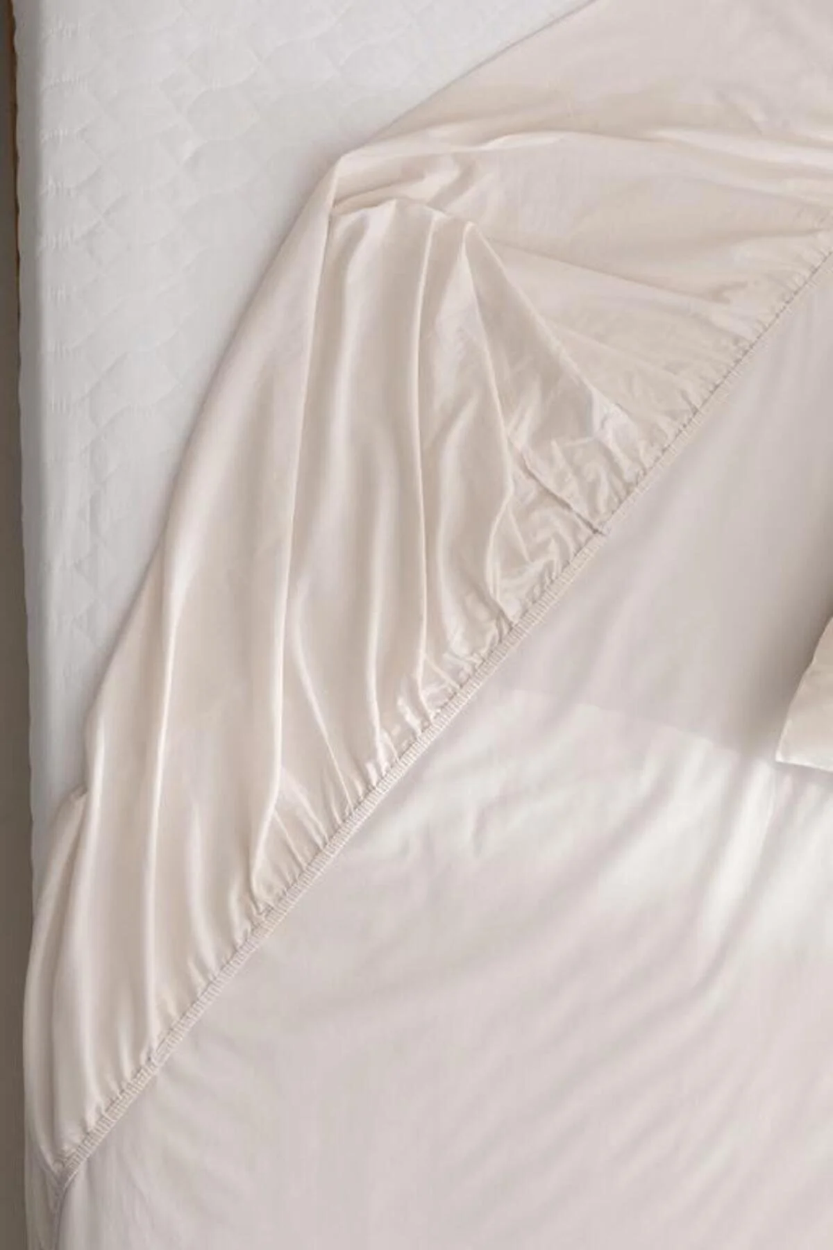 ست ملحفه دو نفره فصل جدید MANON KING SIZE PLUS 100 ٪ پنبه RANFORCE LD FORCE سنگ Madame Coco