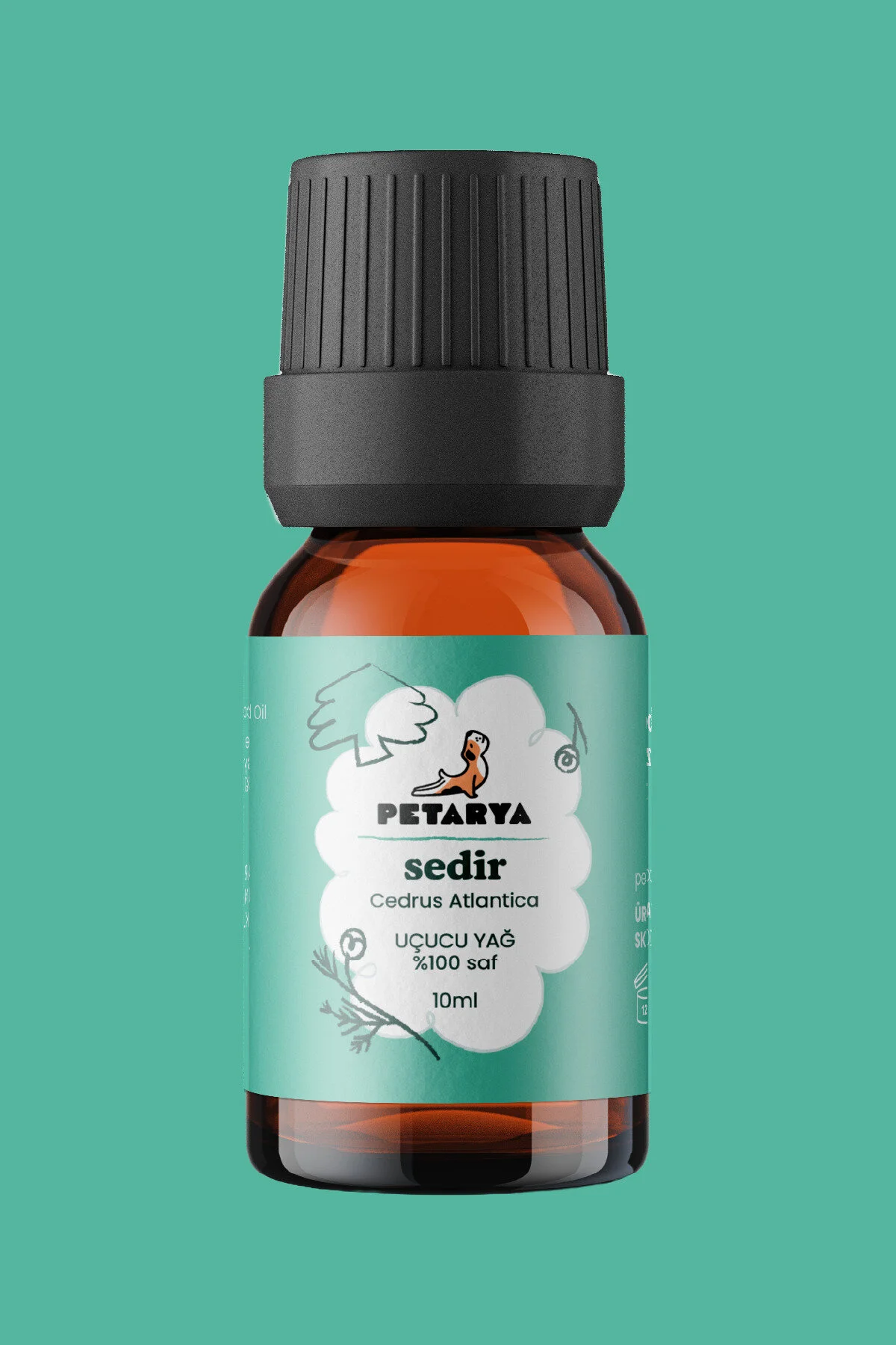 روغن مراقبتی 100 ٪ سدر ضروری خالص سدروس آتلانتیکا 10ML PETARYA