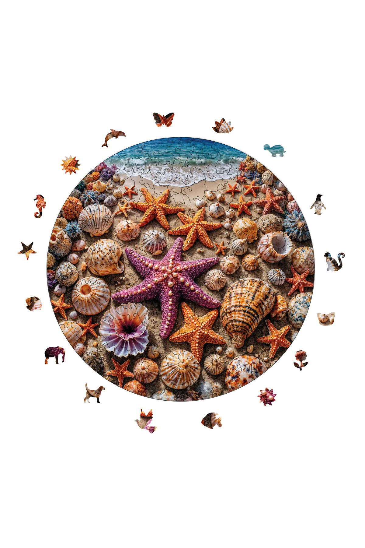 پازل چوبی گنج در دریا 252 قطعه 29X29 سانتی متر WePuzzleUp