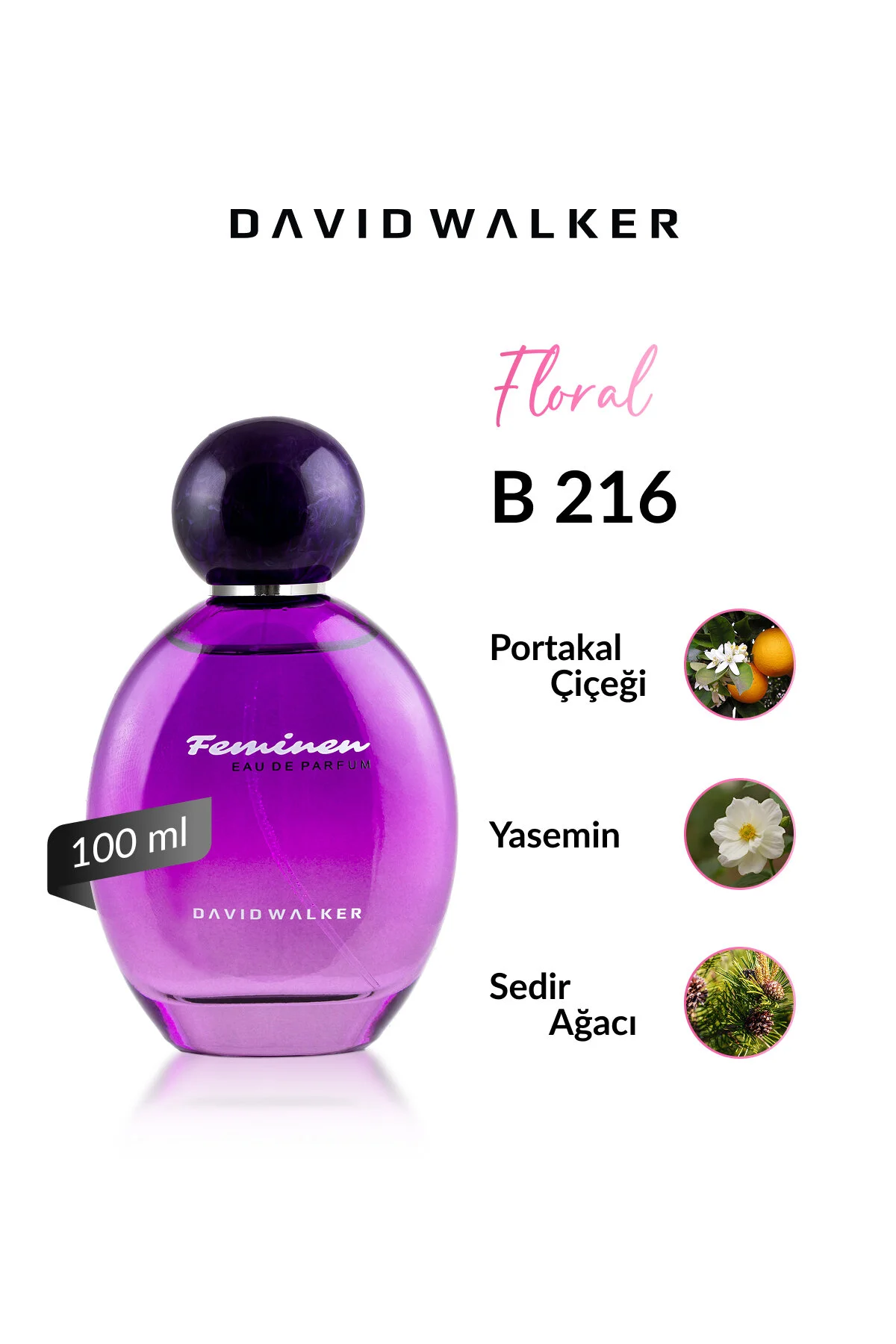 عطر زنانه CASSINI B216 100ML David Walker