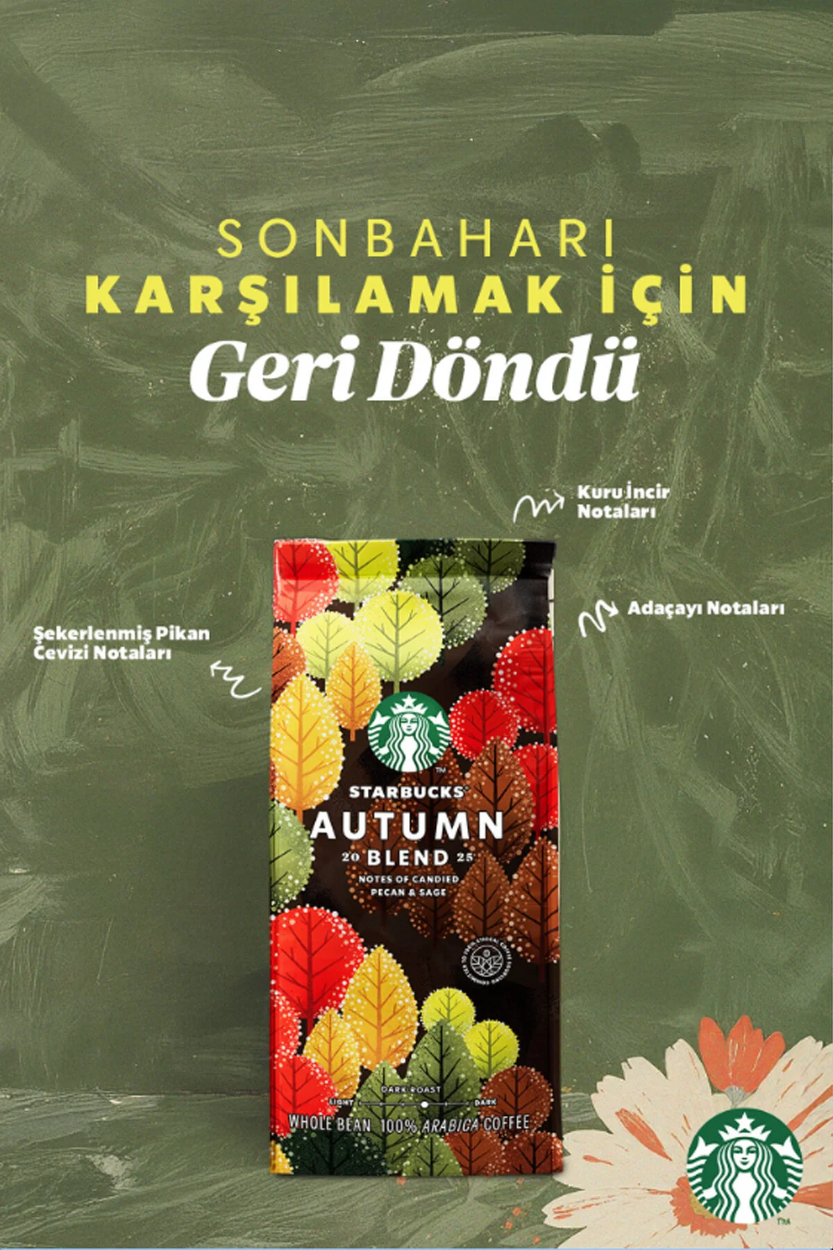 قهوه دانه‌ای استارباکس Autumn Blend 250 گرمی - طعم‌های شیرین پیکان و آداچای برای لذت بردن از روزهای سرد Starbucks