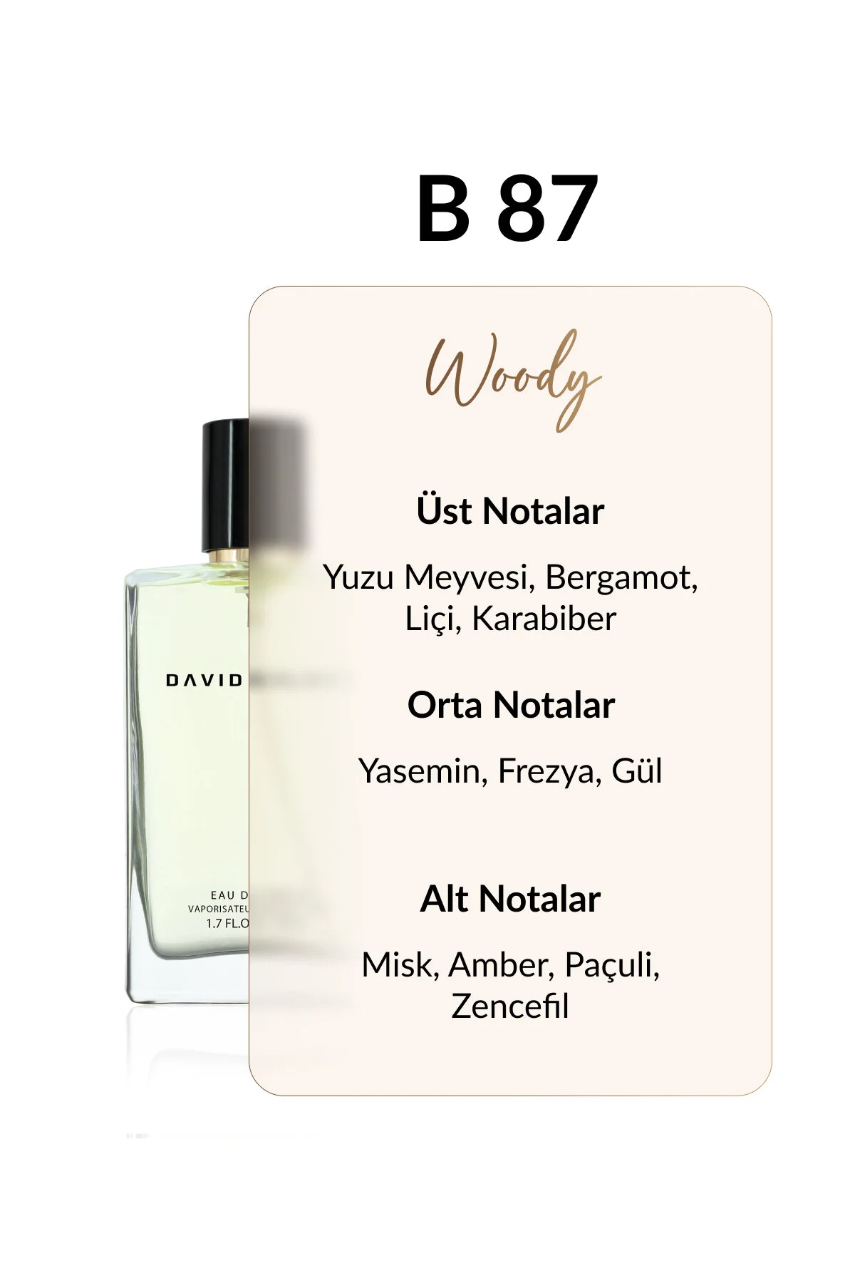 عطر B87 50ML زنانه شرقی دیوید واکر David Walker