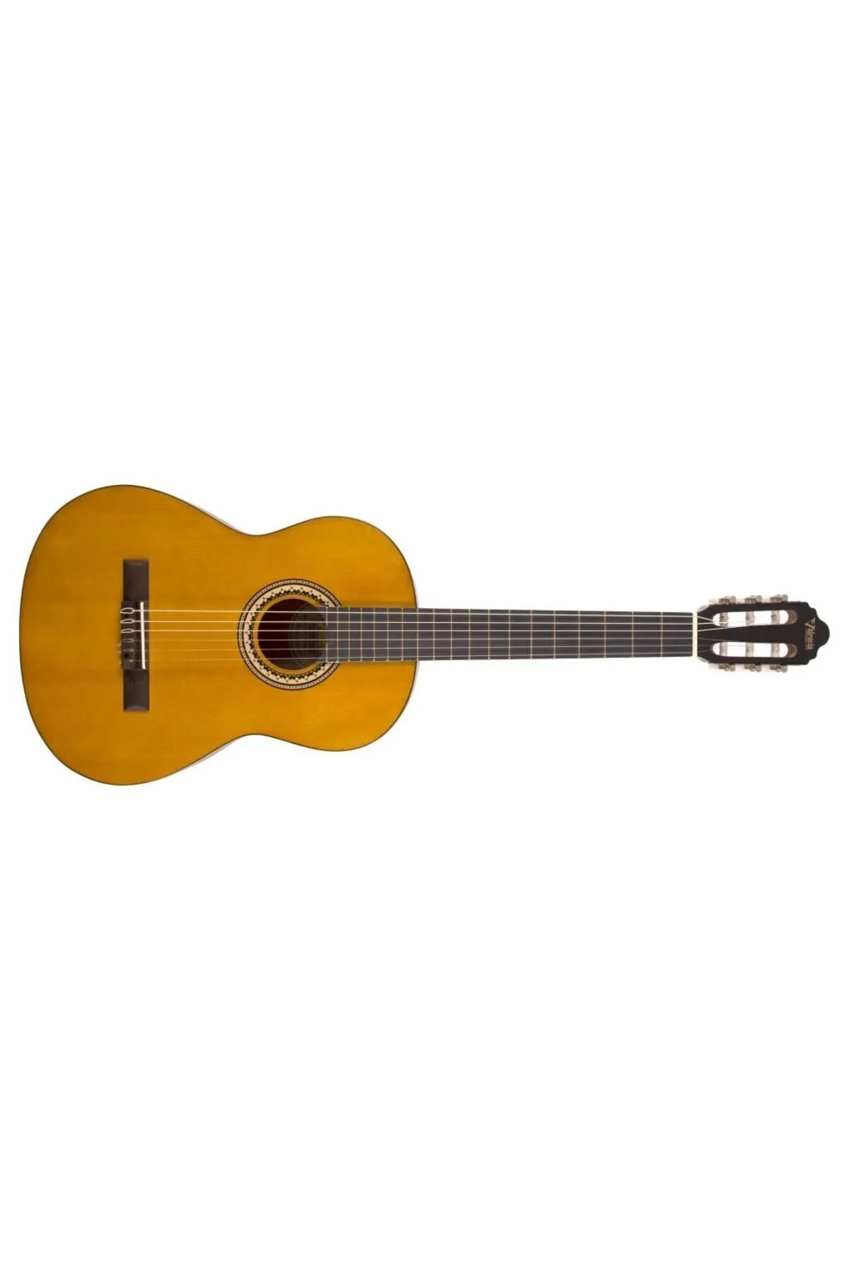گیتار VC204 CASS GUITAR CASE AND PENA GIFT GTR 10 Genel Markalar