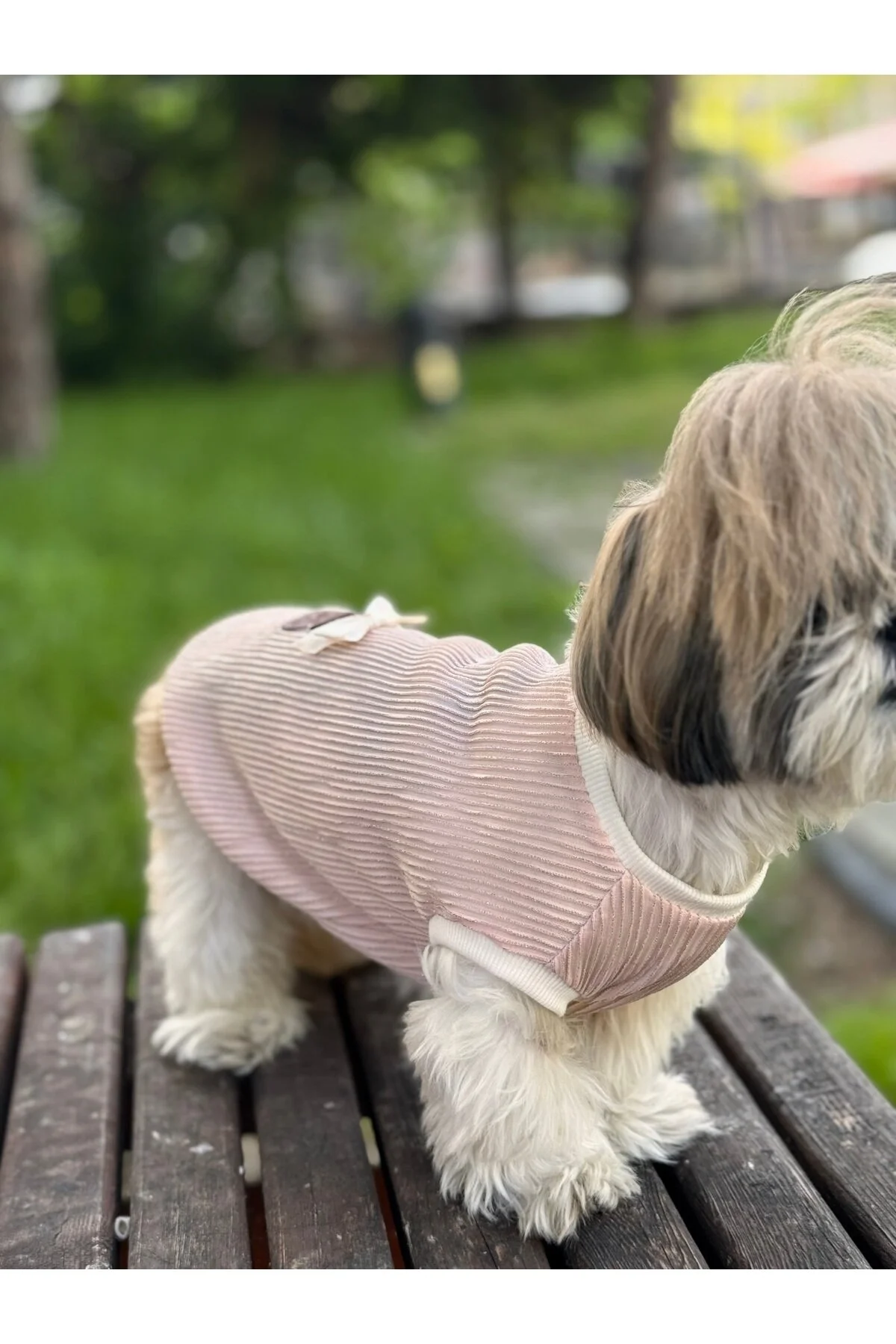 لباس سگ تی شرت پودر کرم پودری براق گربه اورجینال For a Fur
