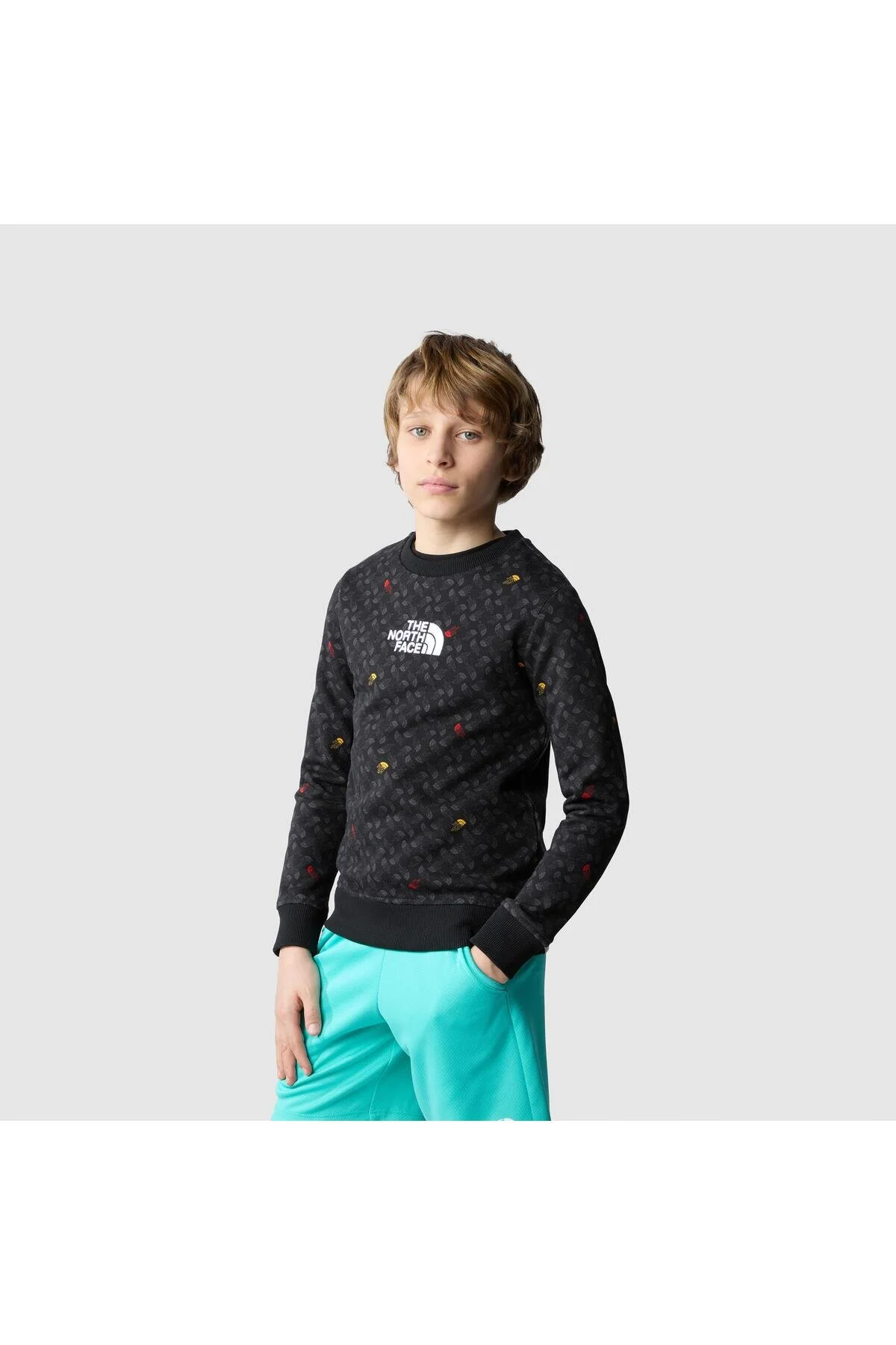 سویشرت پسرانه چاپی B DREW PEAK LIGHT خدمه نورث فیس The North Face