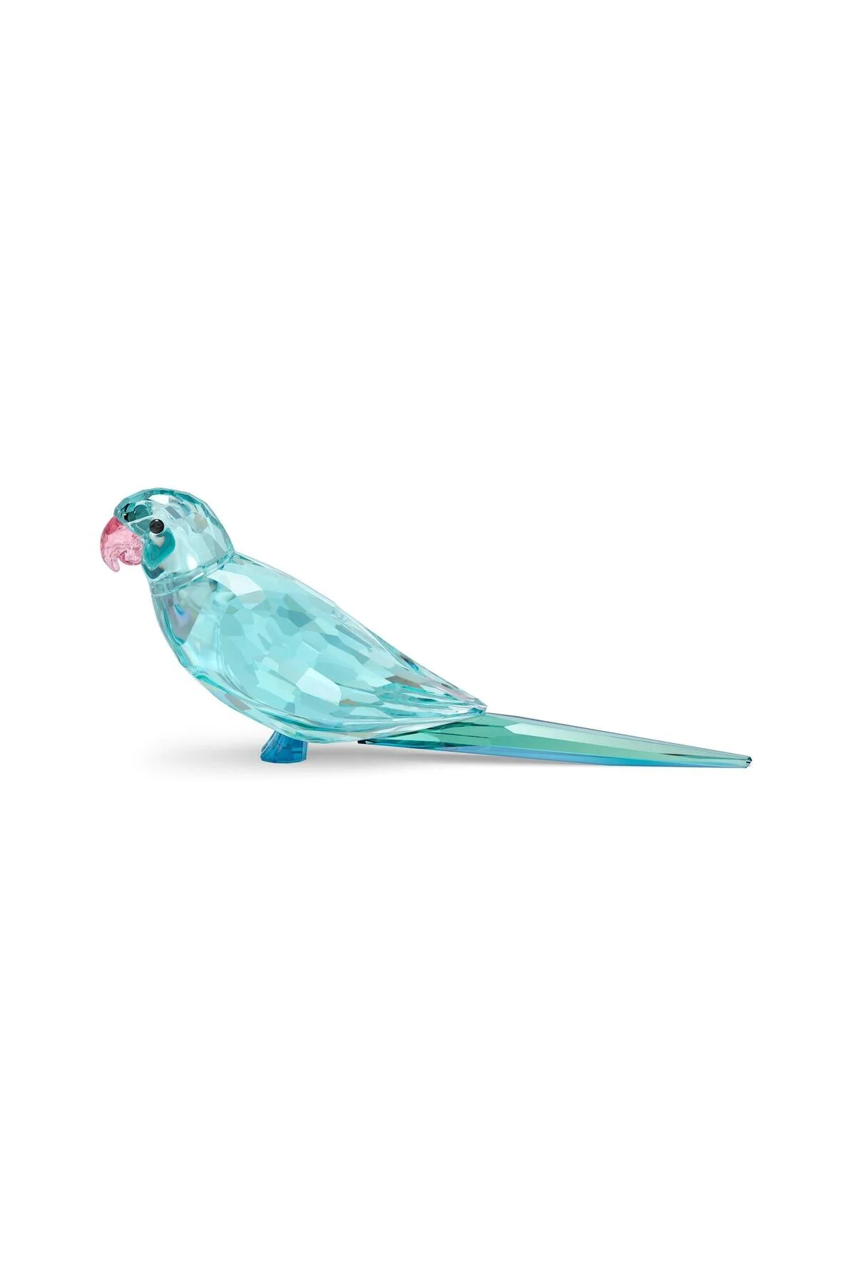 اشیاء دکوراتیو و مجسمه 5574519 TRINKET JUNGLE BEATS: PARAKEET آبی سواروسکی اورجینال Swarovski