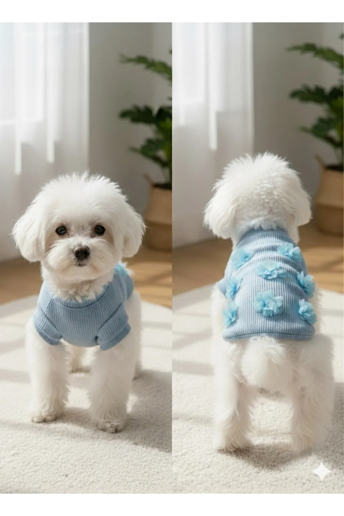 لباس سگ اورجینال PUPPY PARTY