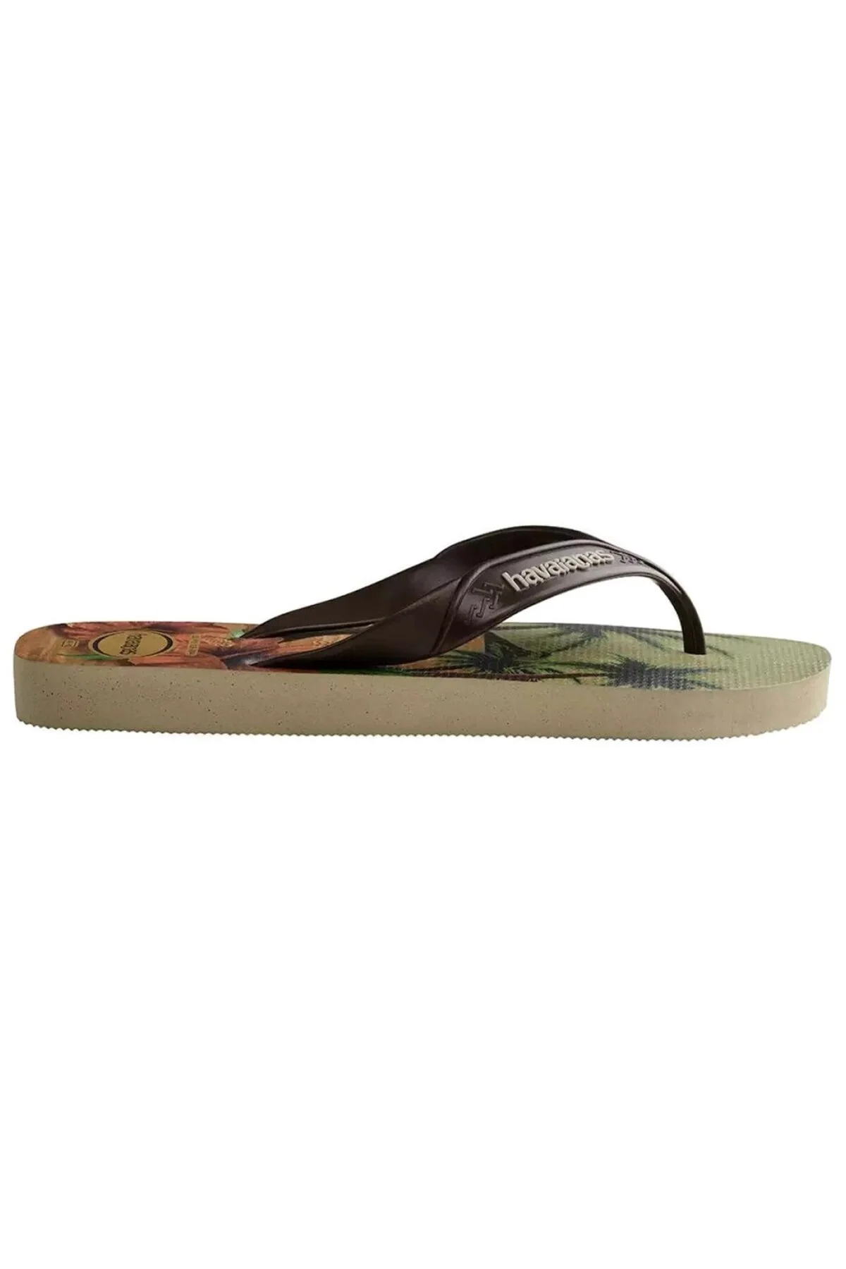 دمپایی چند رنگ مردانه HAVAANAS 4000047 7980 هاوایاناس Havaianas