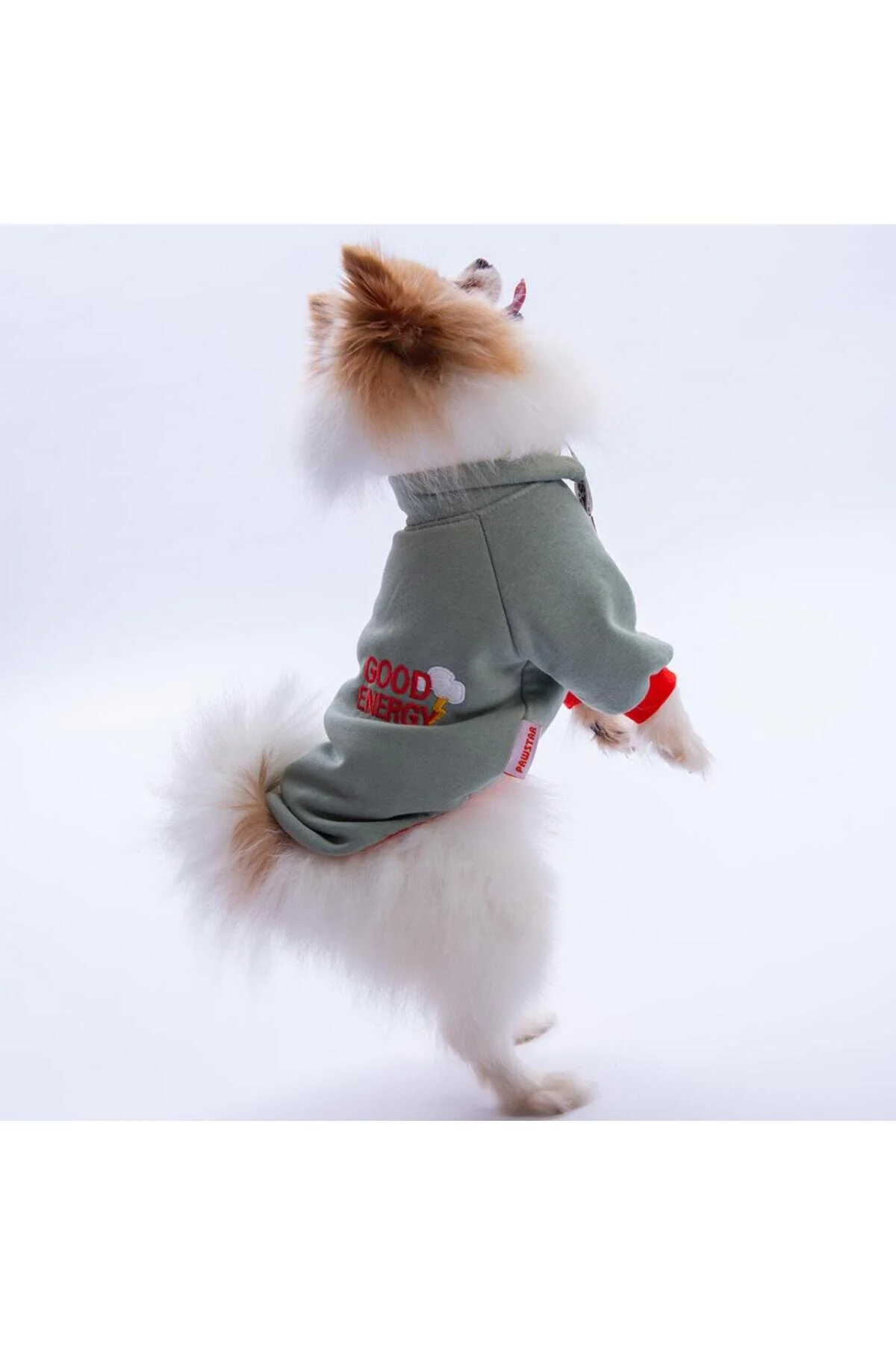 لباس سگ سبز سیاتل طوفان انرژی خوب دوزی عرق گربه اورجینال Pawstar