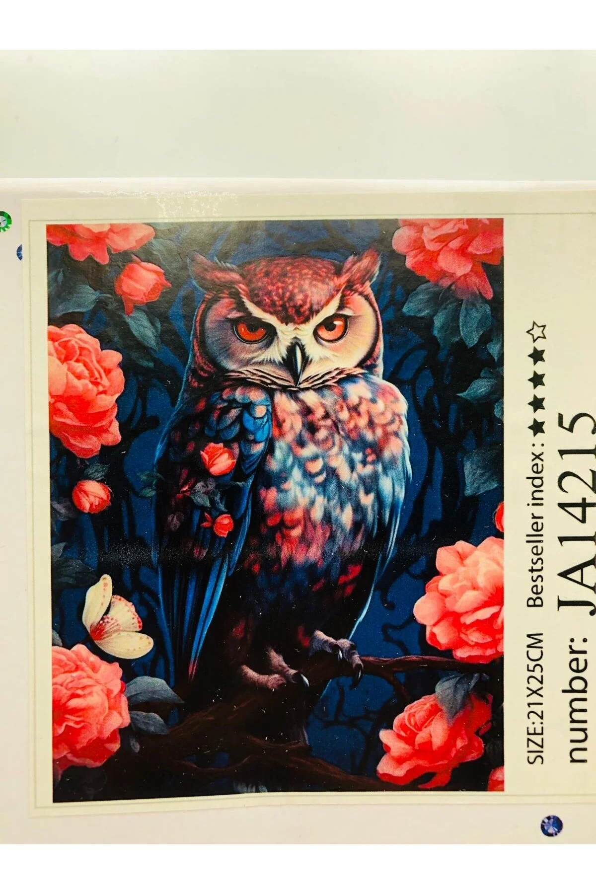 پازل 21X25 BEADED STONY DIAMOND PAINTING TAPESTRY تابلو نقاشی عکس مهره الماس برای کودکان از ترکیه DUCK HOBY